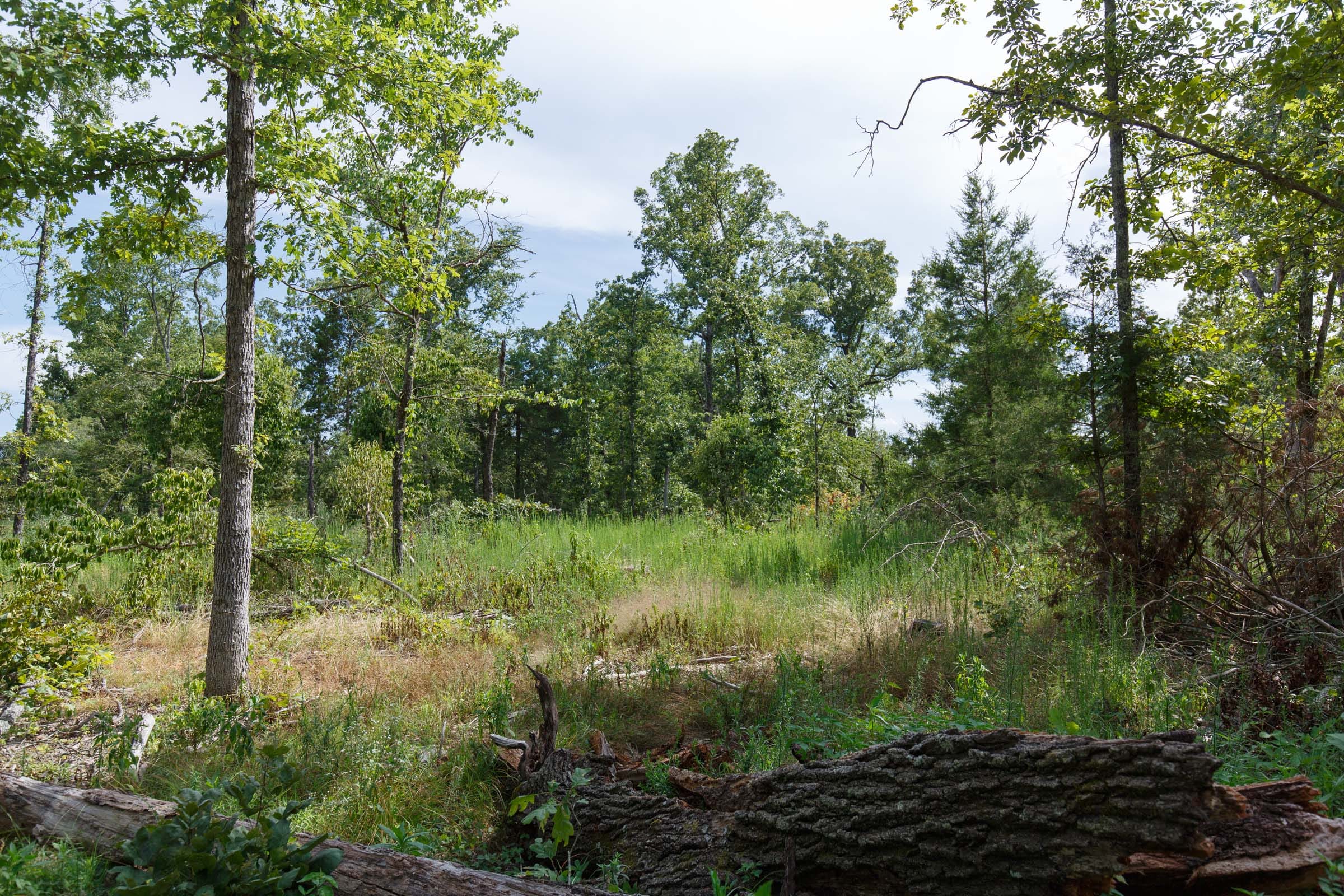 Wildwood Tract 29 photo 1