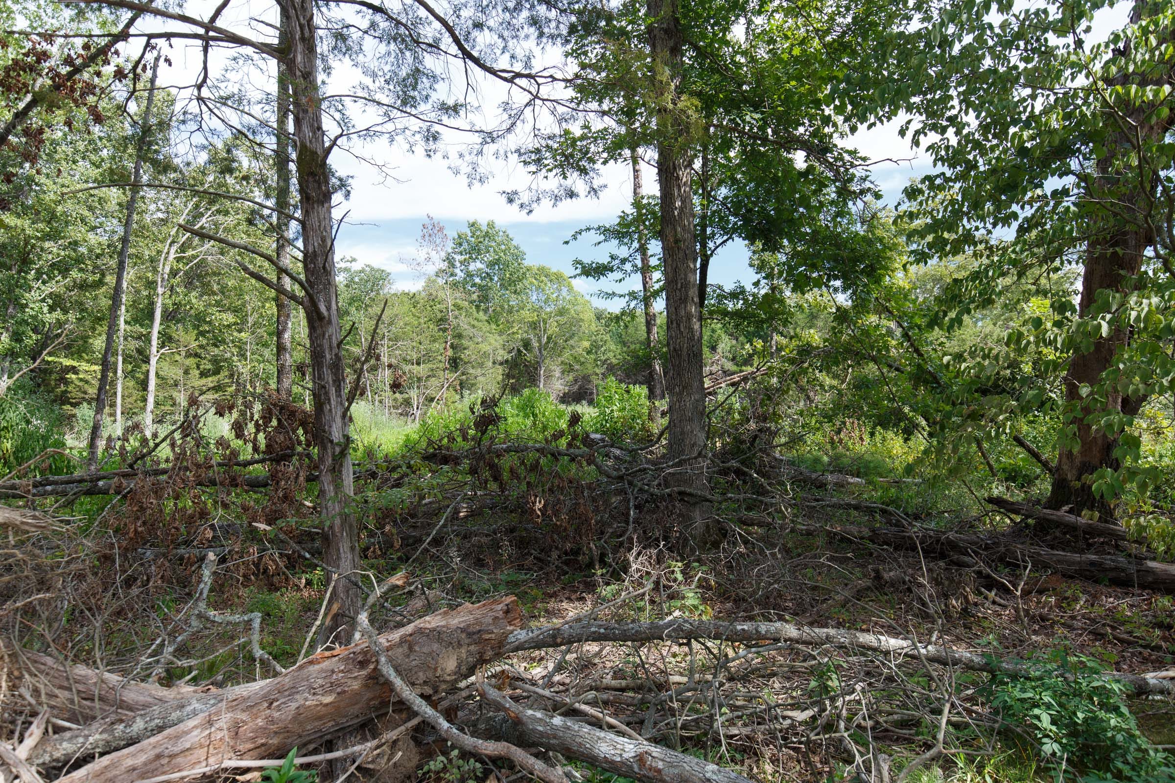 Wildwood Tract 29 photo 5