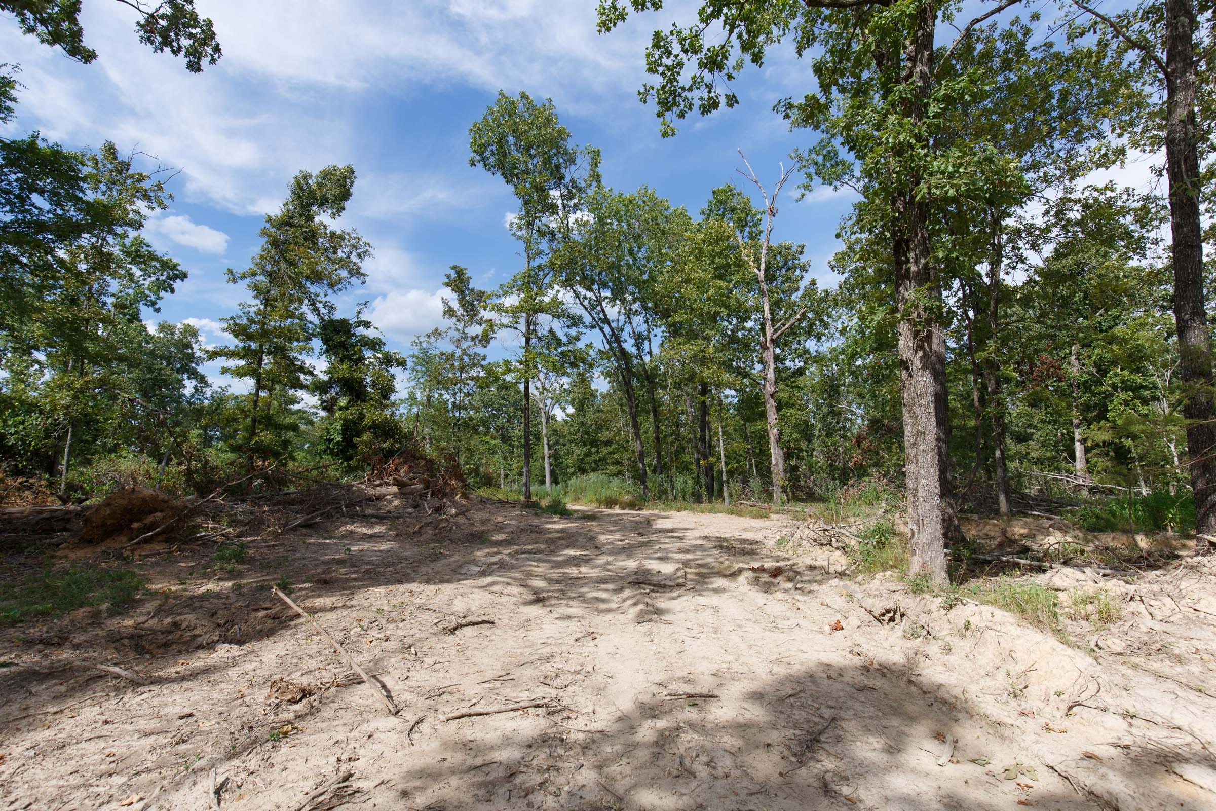 Wildwood Tract 29 photo 6