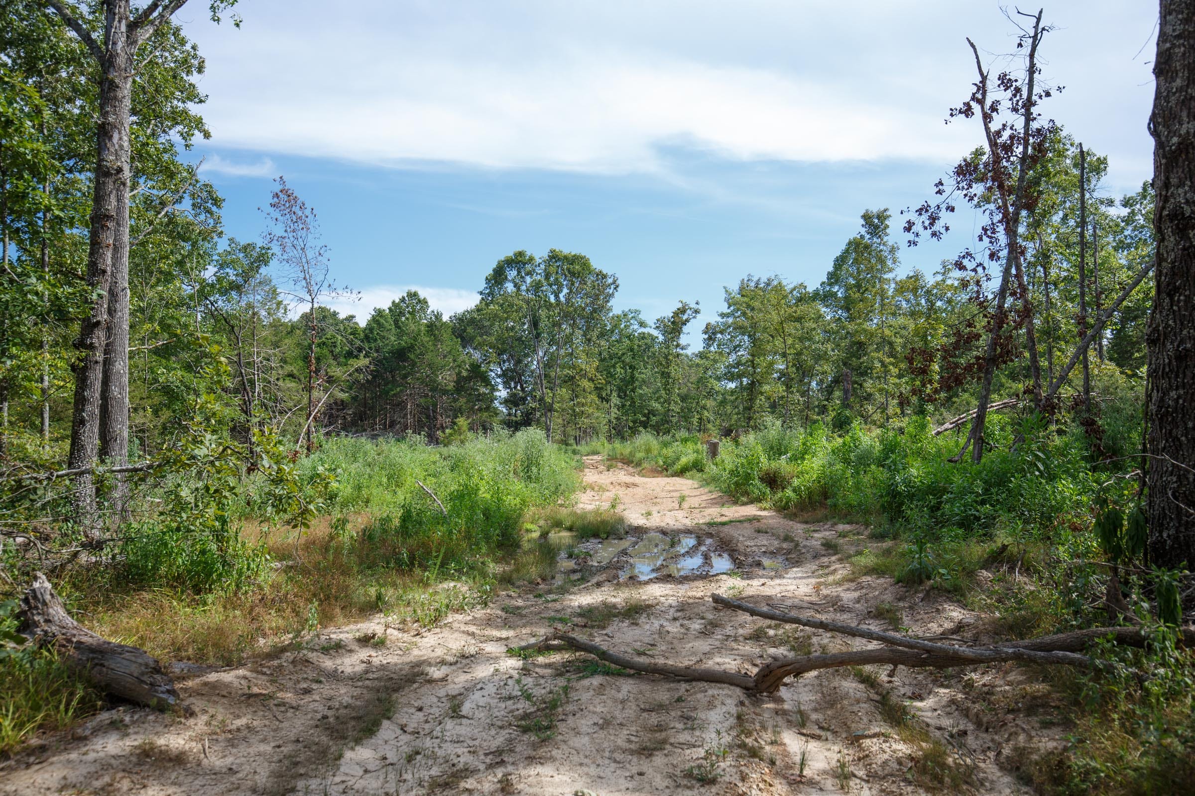 Wildwood Tract 29 photo 7