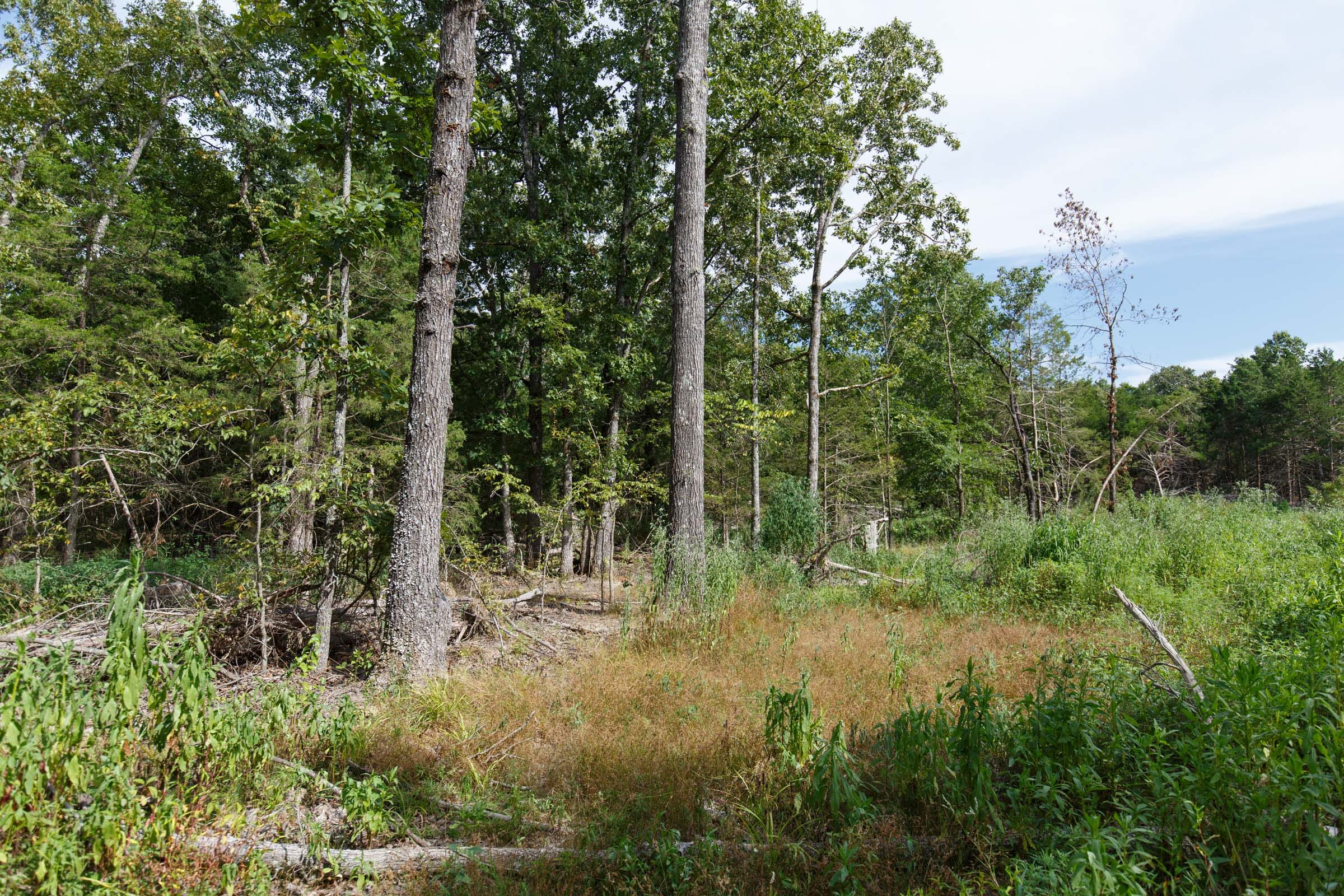 Wildwood Tract 29 photo 8
