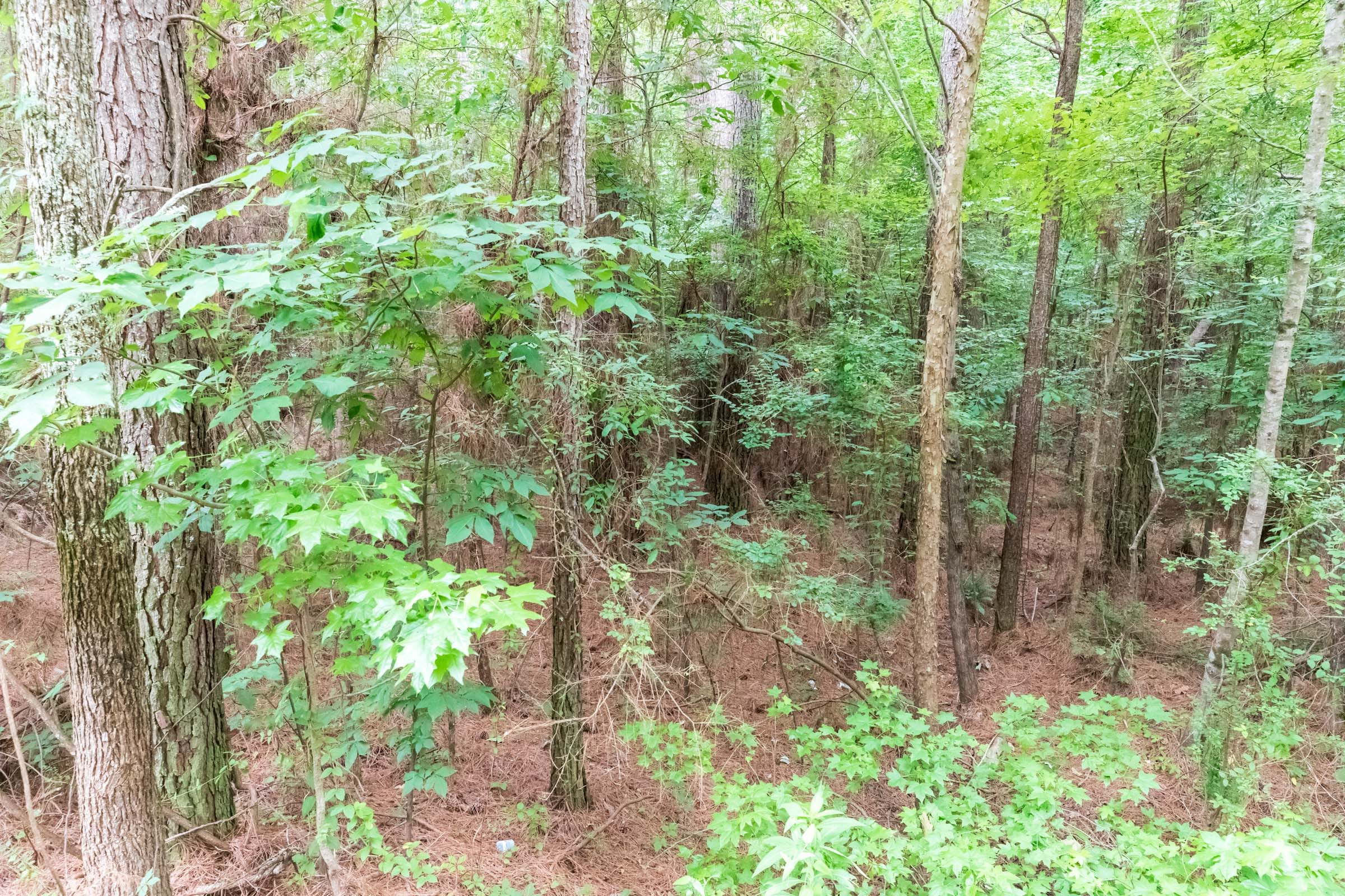 Whiskey Ridge Tract 38 photo 10