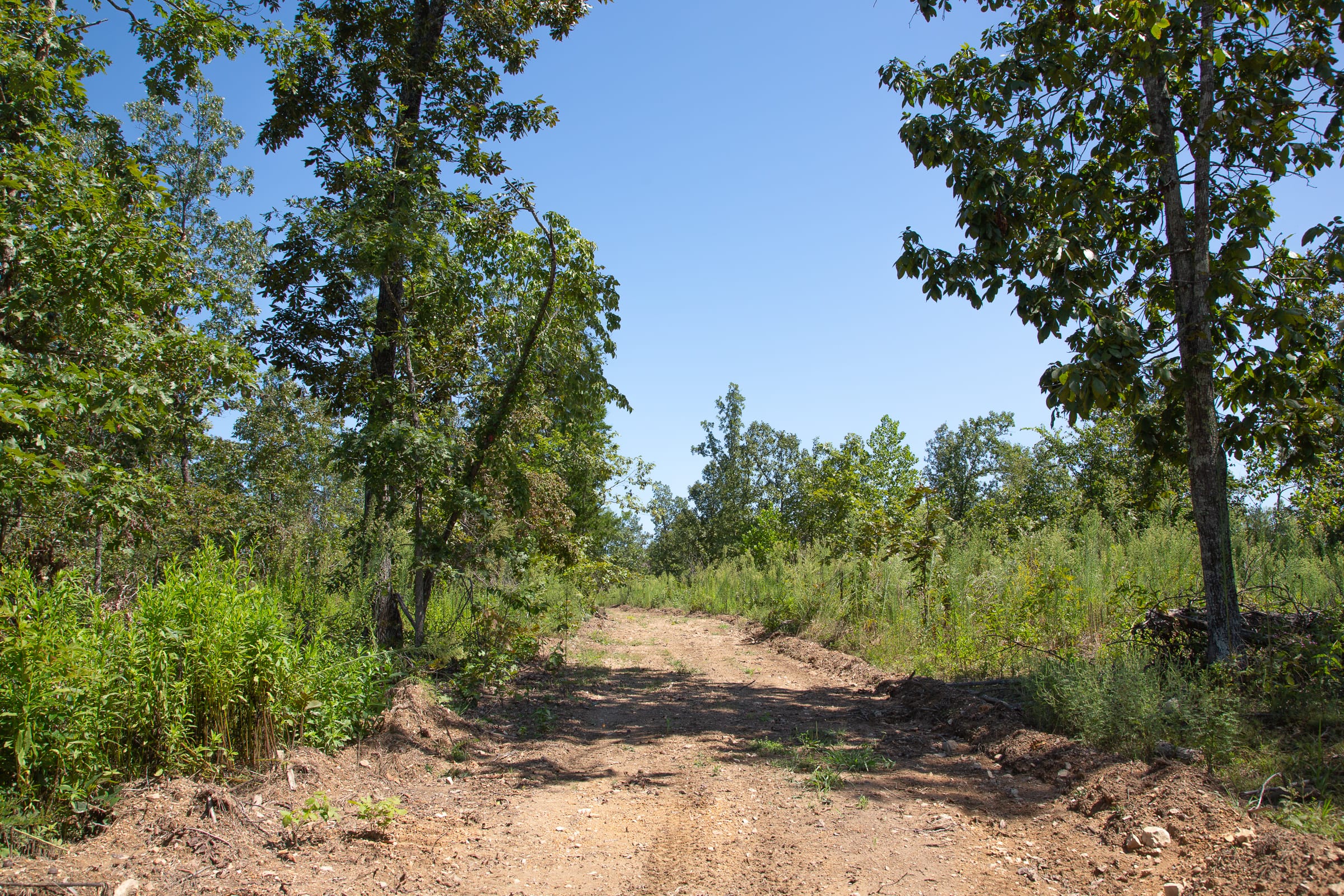 Borgmann’s Hollow Phase III Tract 75 photo 5