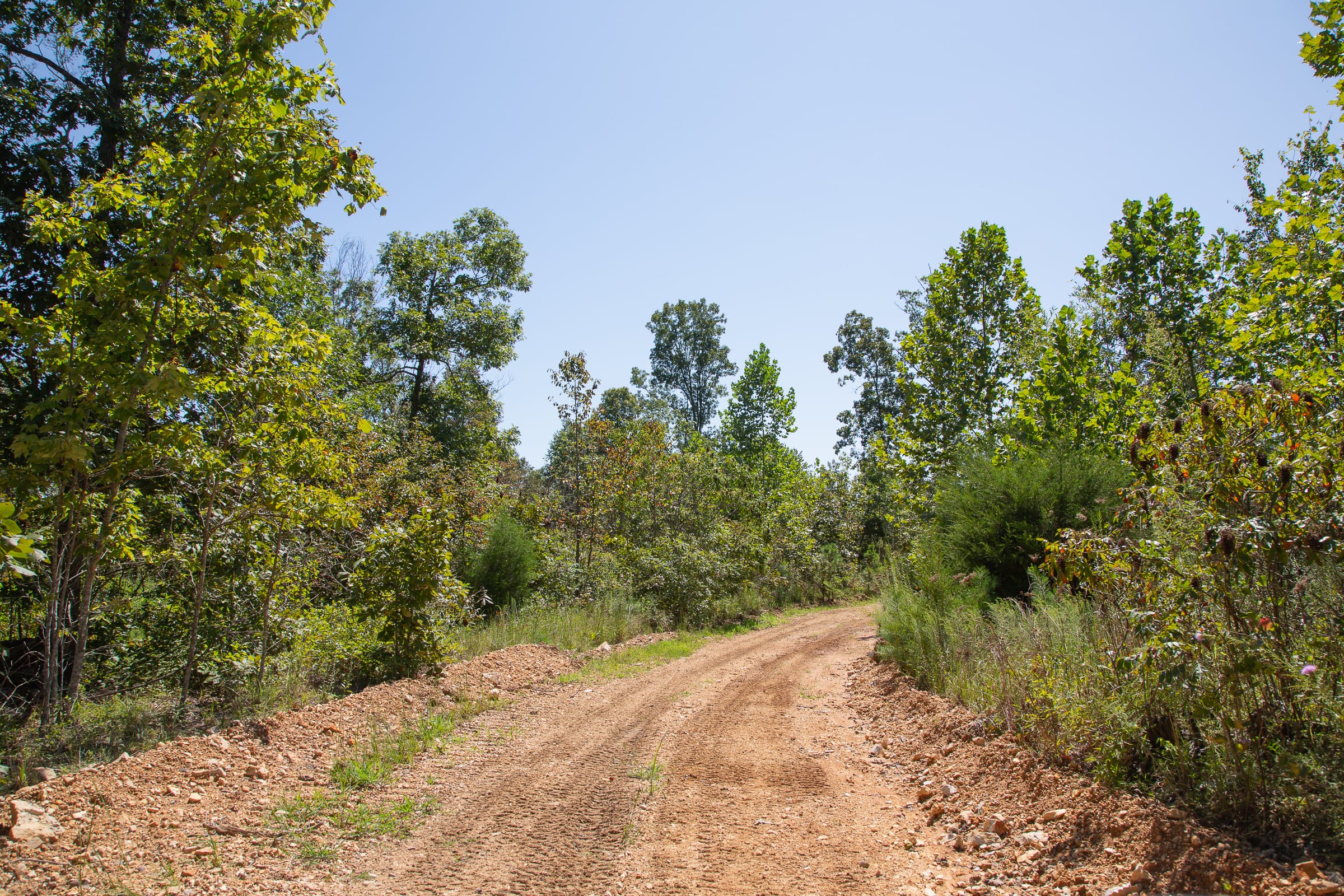 Borgmann’s Hollow Phase III Tract 75 photo 10