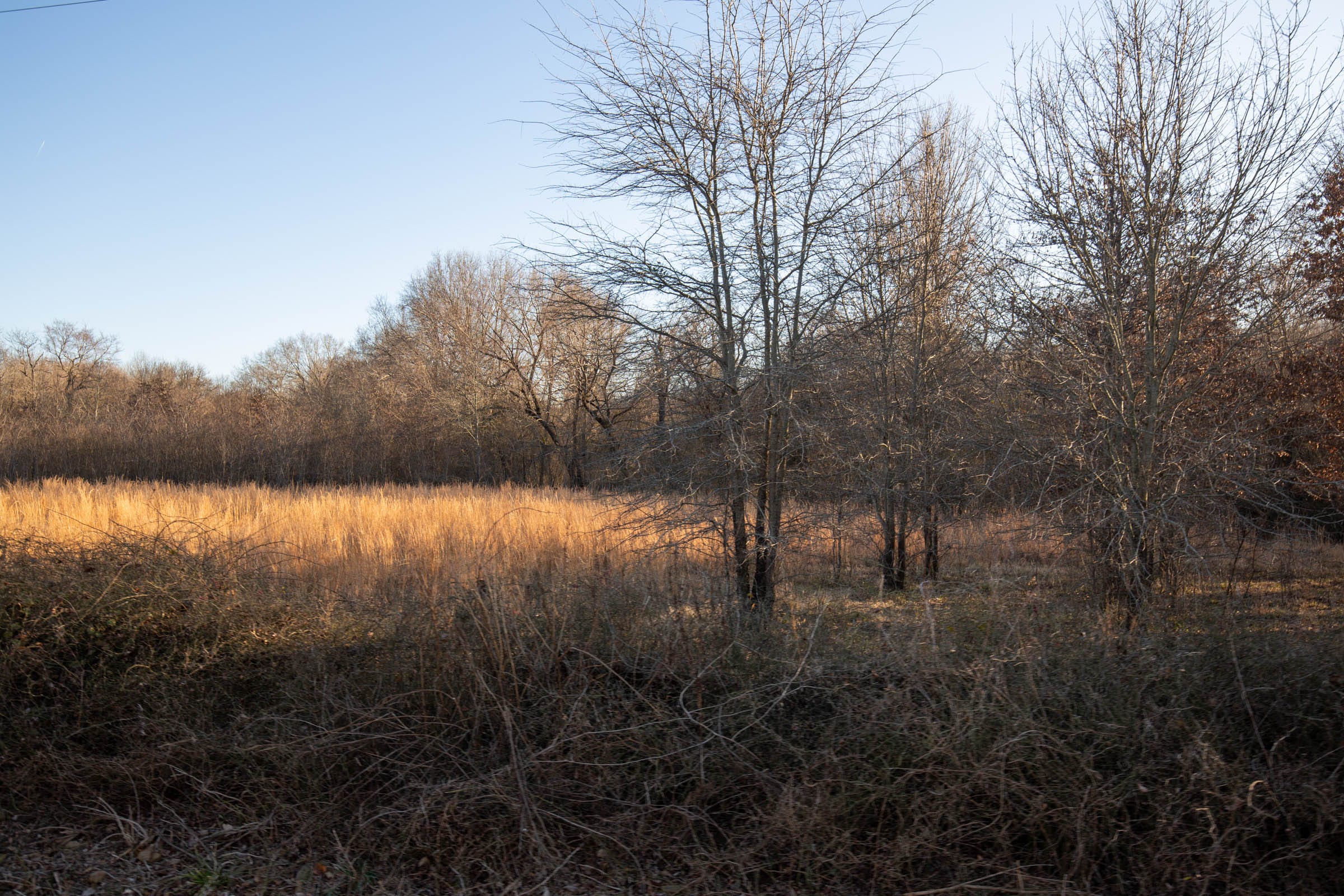 Painted Horse Tract 42 photo 3