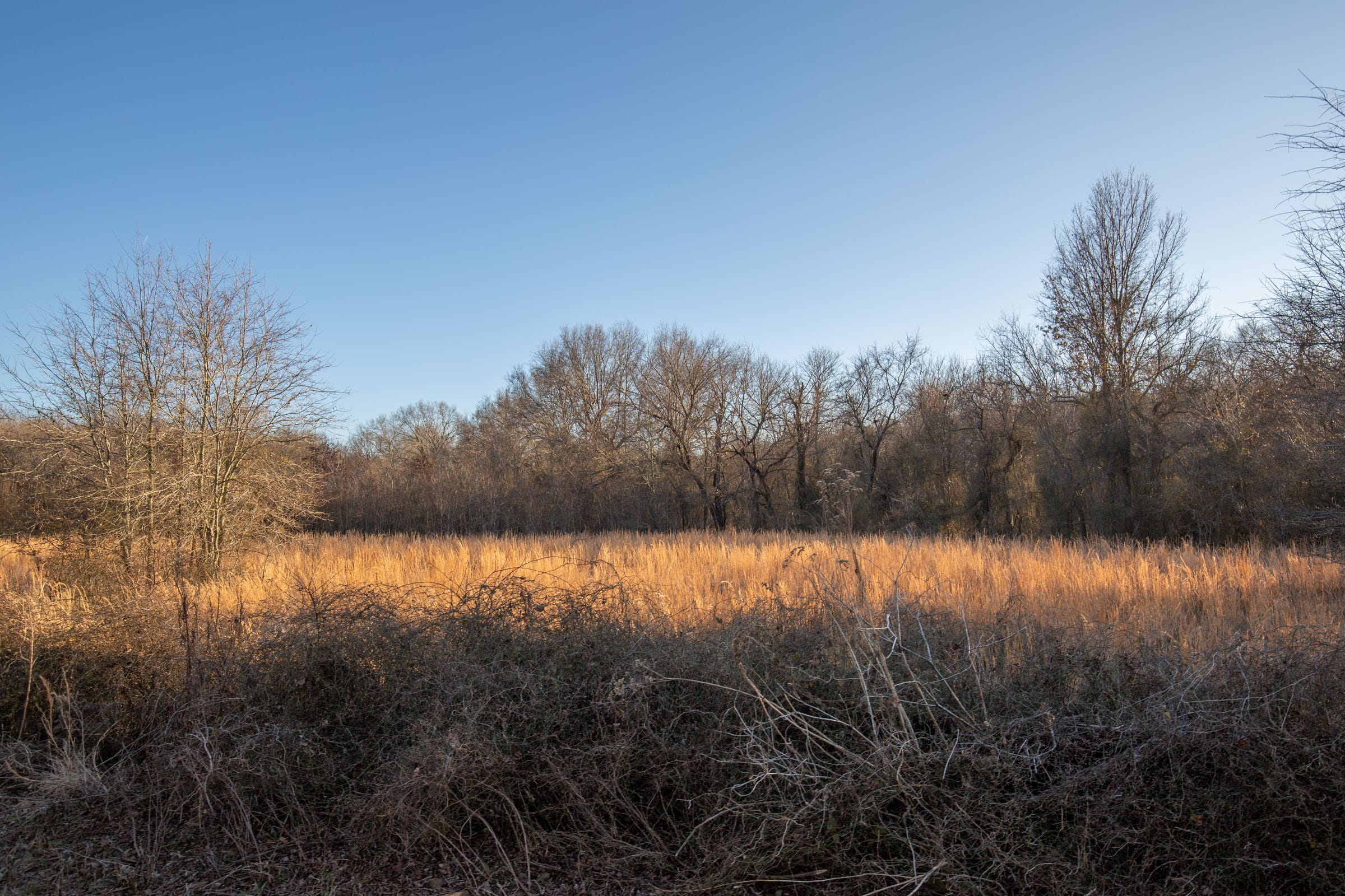 Painted Horse Tract 42 photo 4