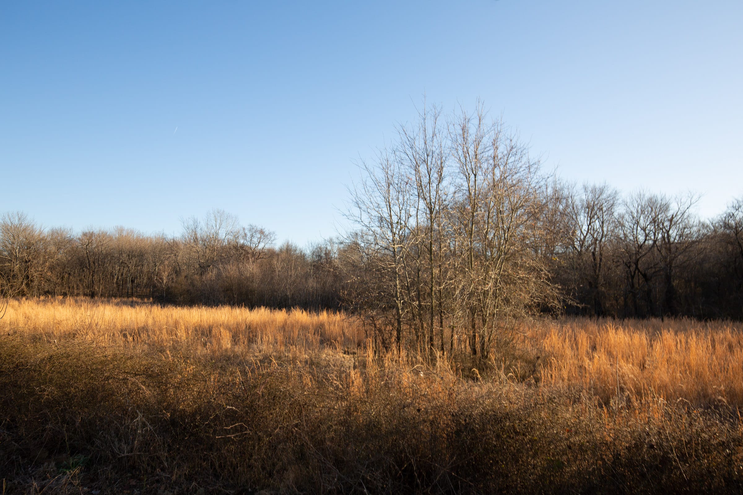 Painted Horse Tract 42 photo 5