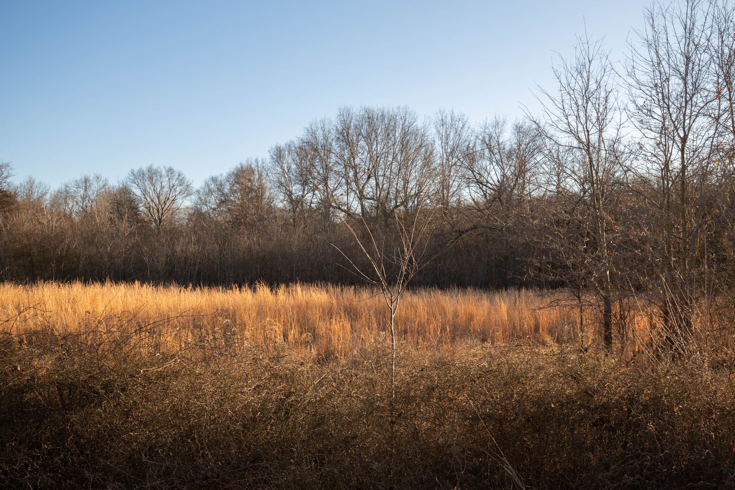 Painted Horse Tract 42 photo 6