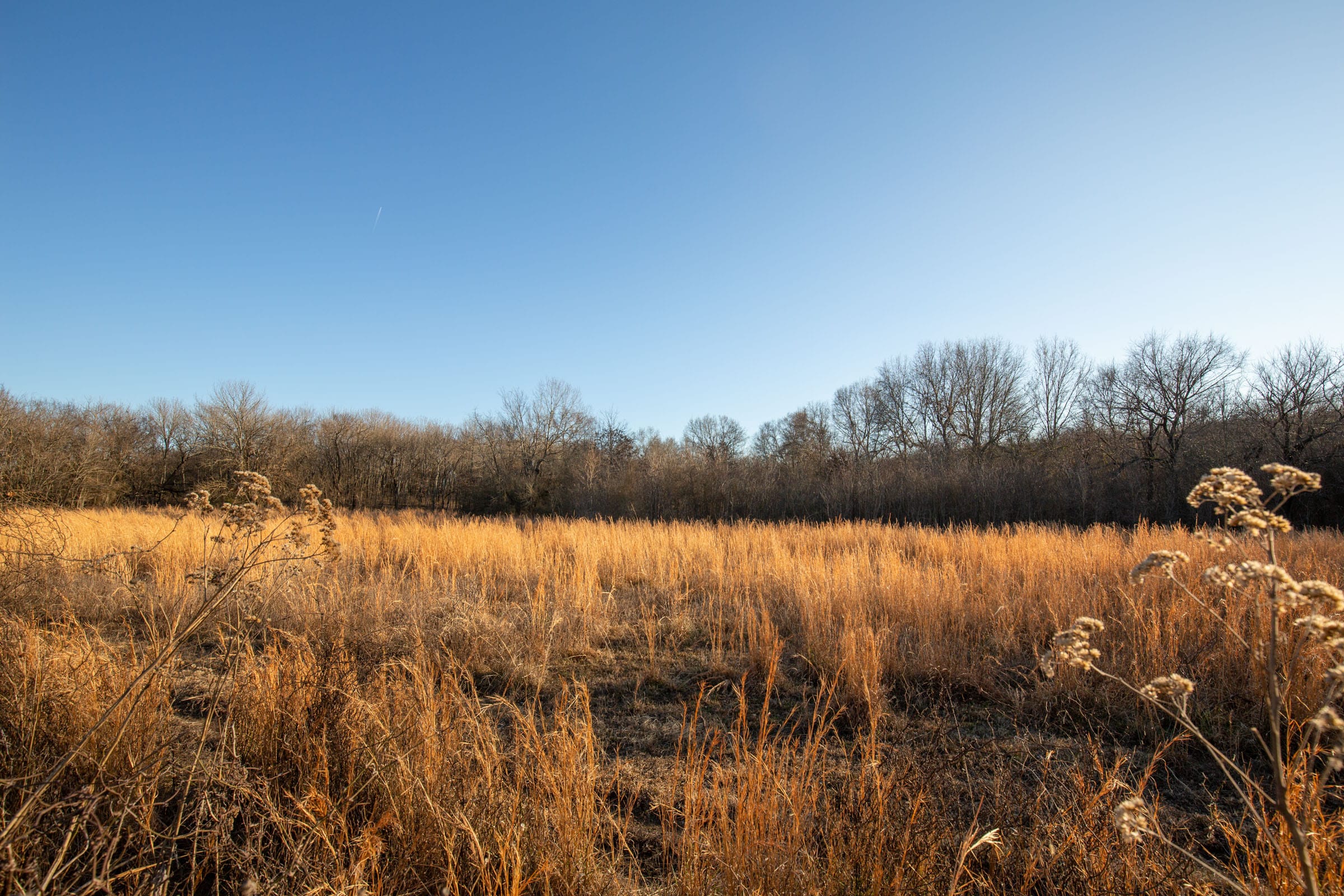 Painted Horse Tract 42 photo 9