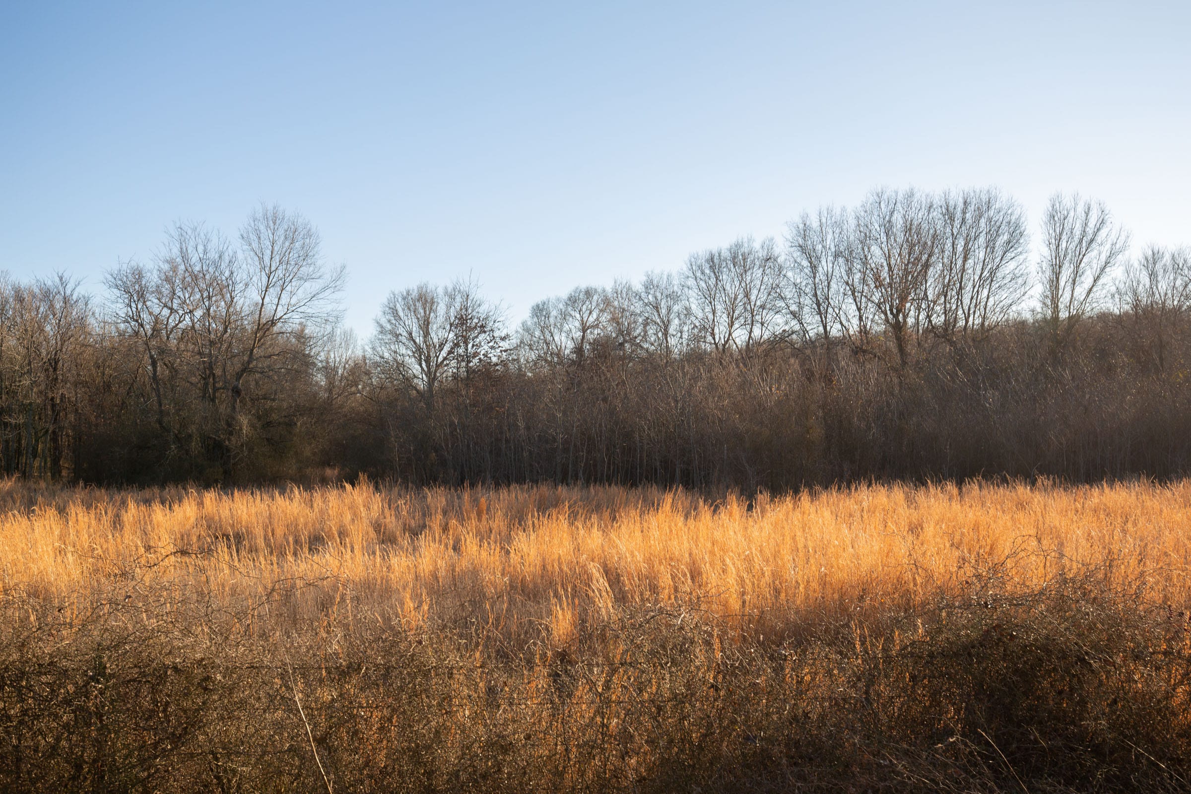 Painted Horse Tract 42 photo 11