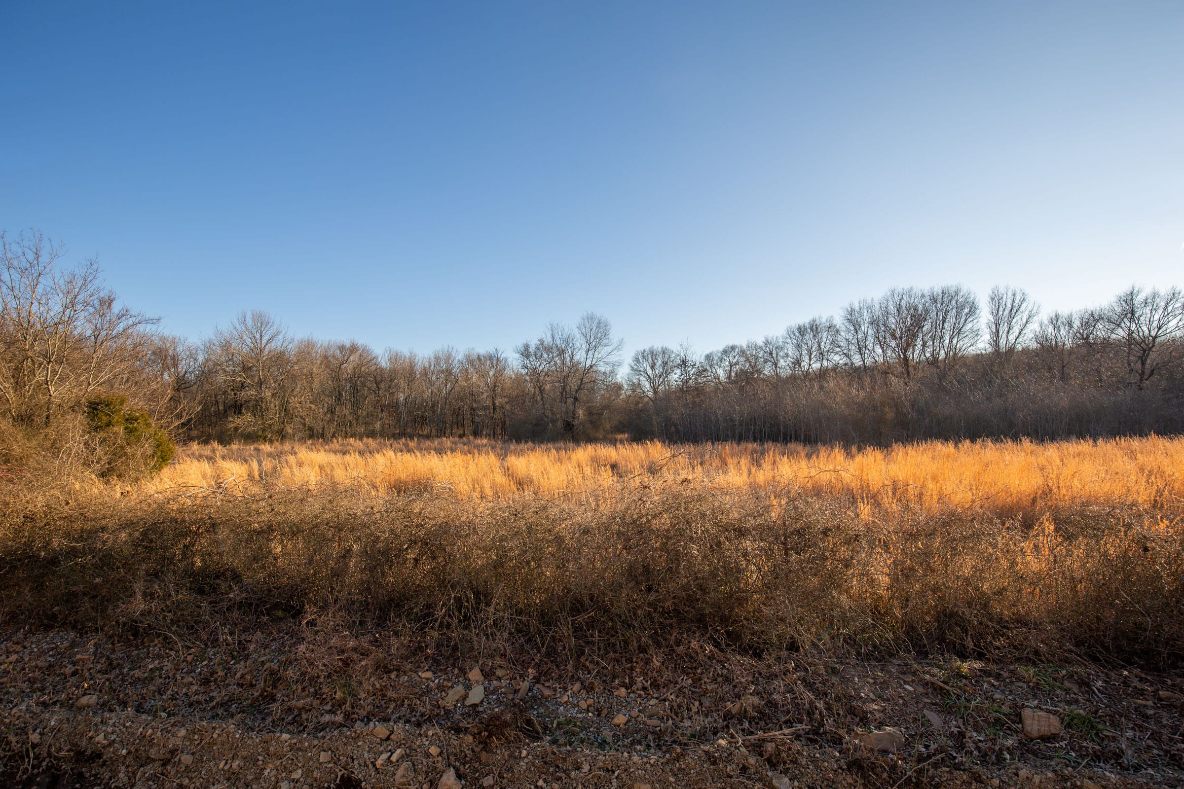 Painted Horse Tract 42 photo 12
