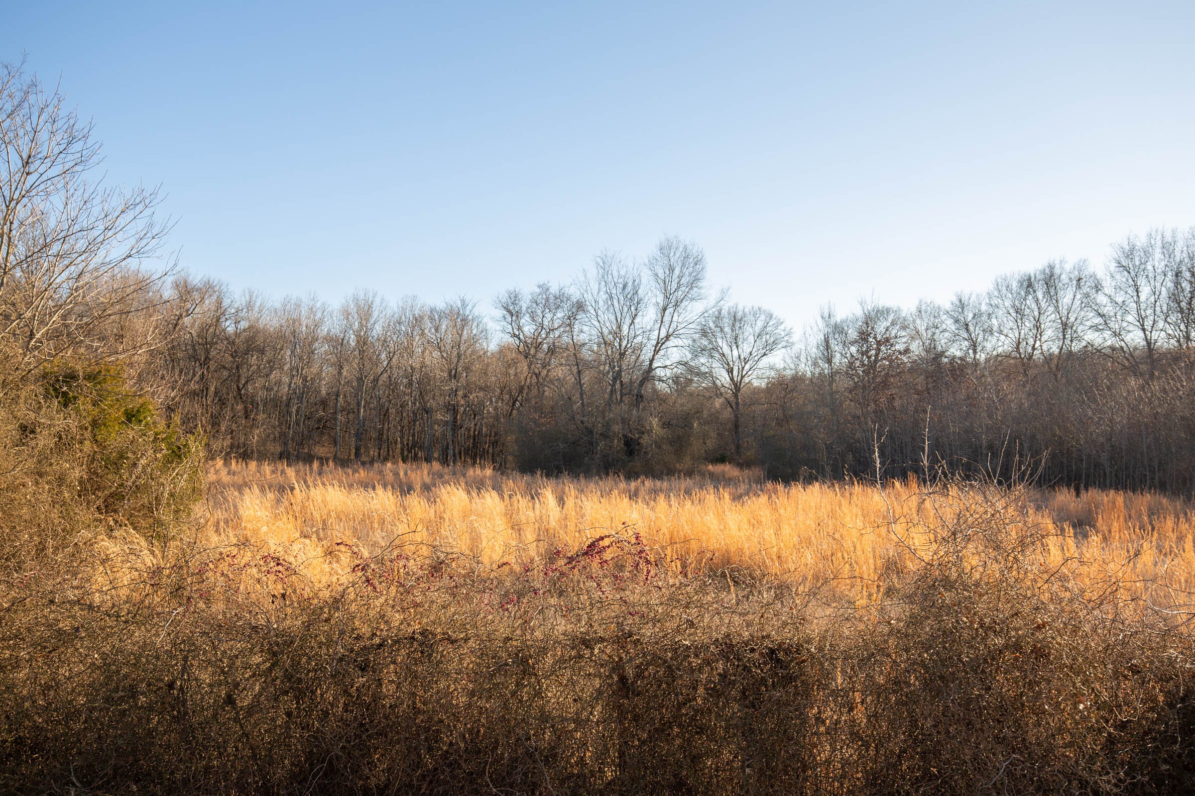 Painted Horse Tract 42 photo 13