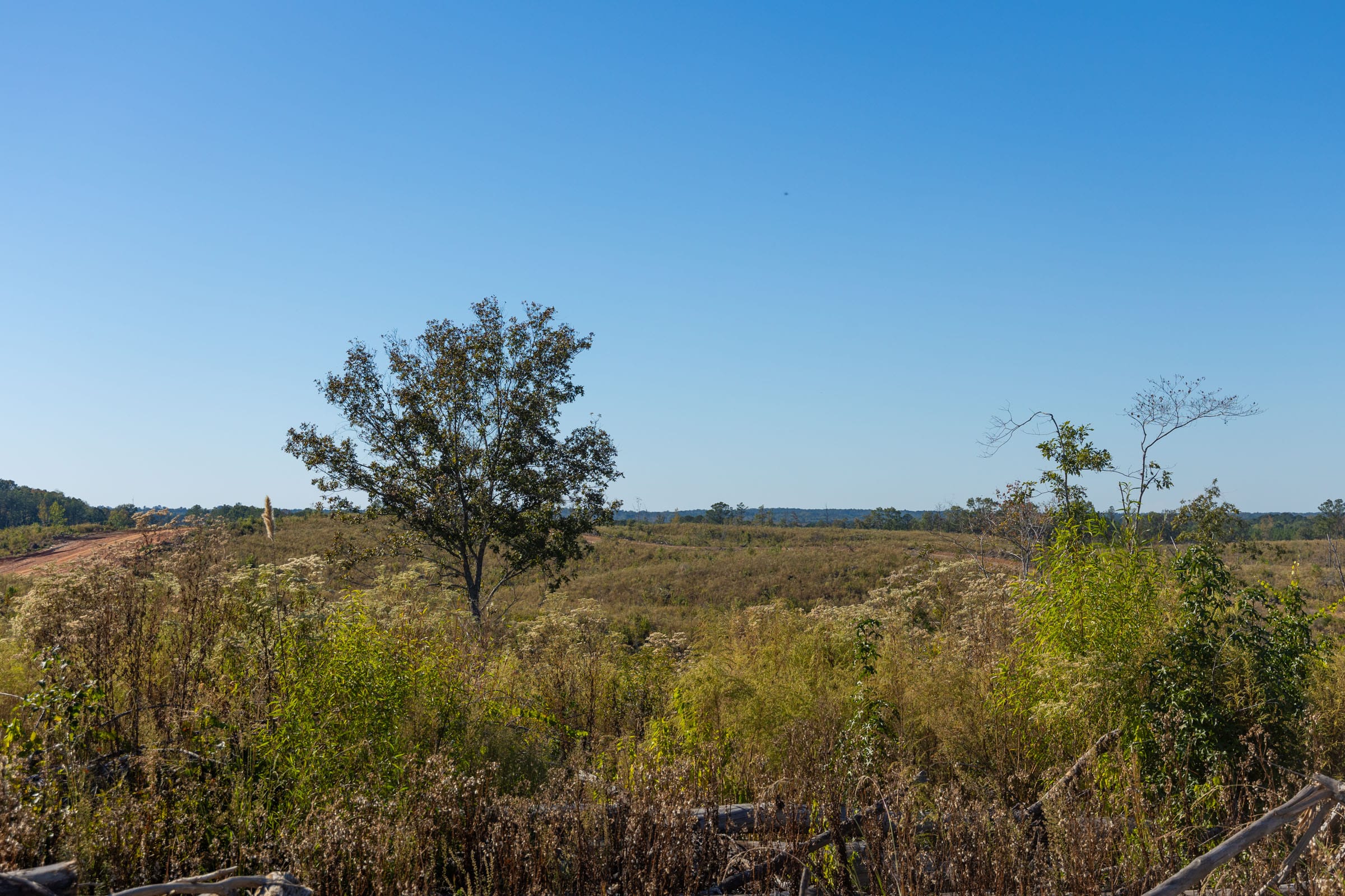 Meyer’s Ridge Tract 21 photo 14