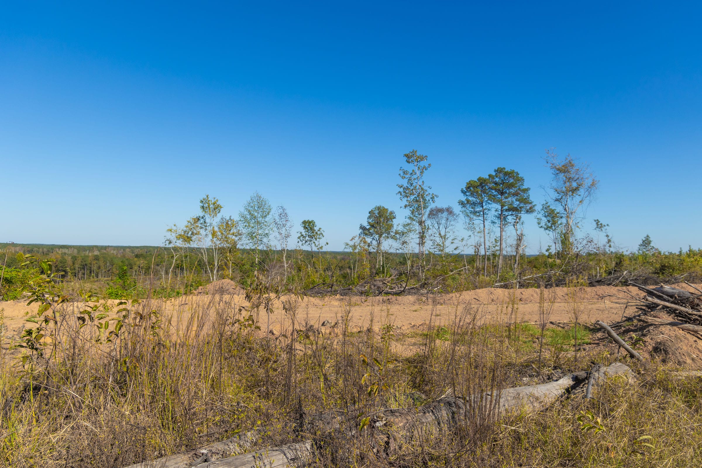 Meyer’s Ridge Tract 21 photo 13