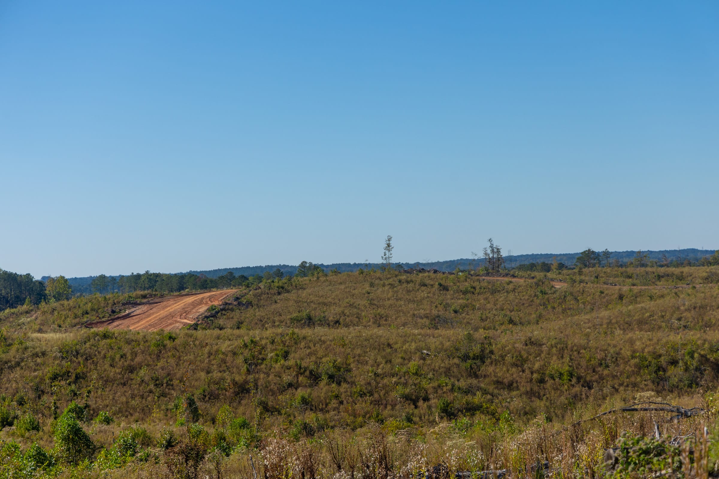 Meyer’s Ridge Tract 21 photo 11