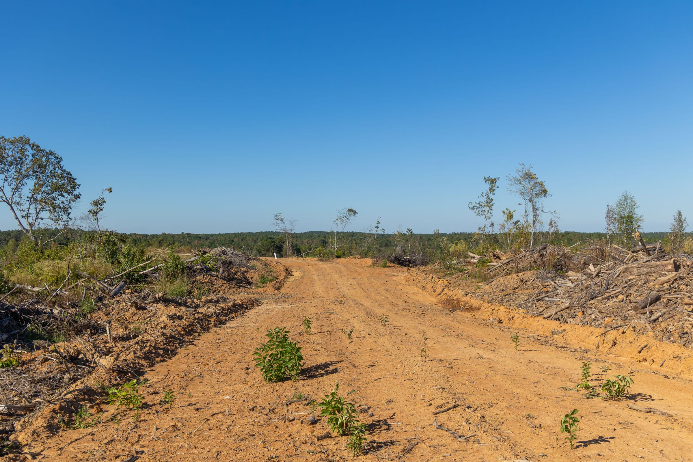 Meyer’s Ridge Tract 21 photo 3