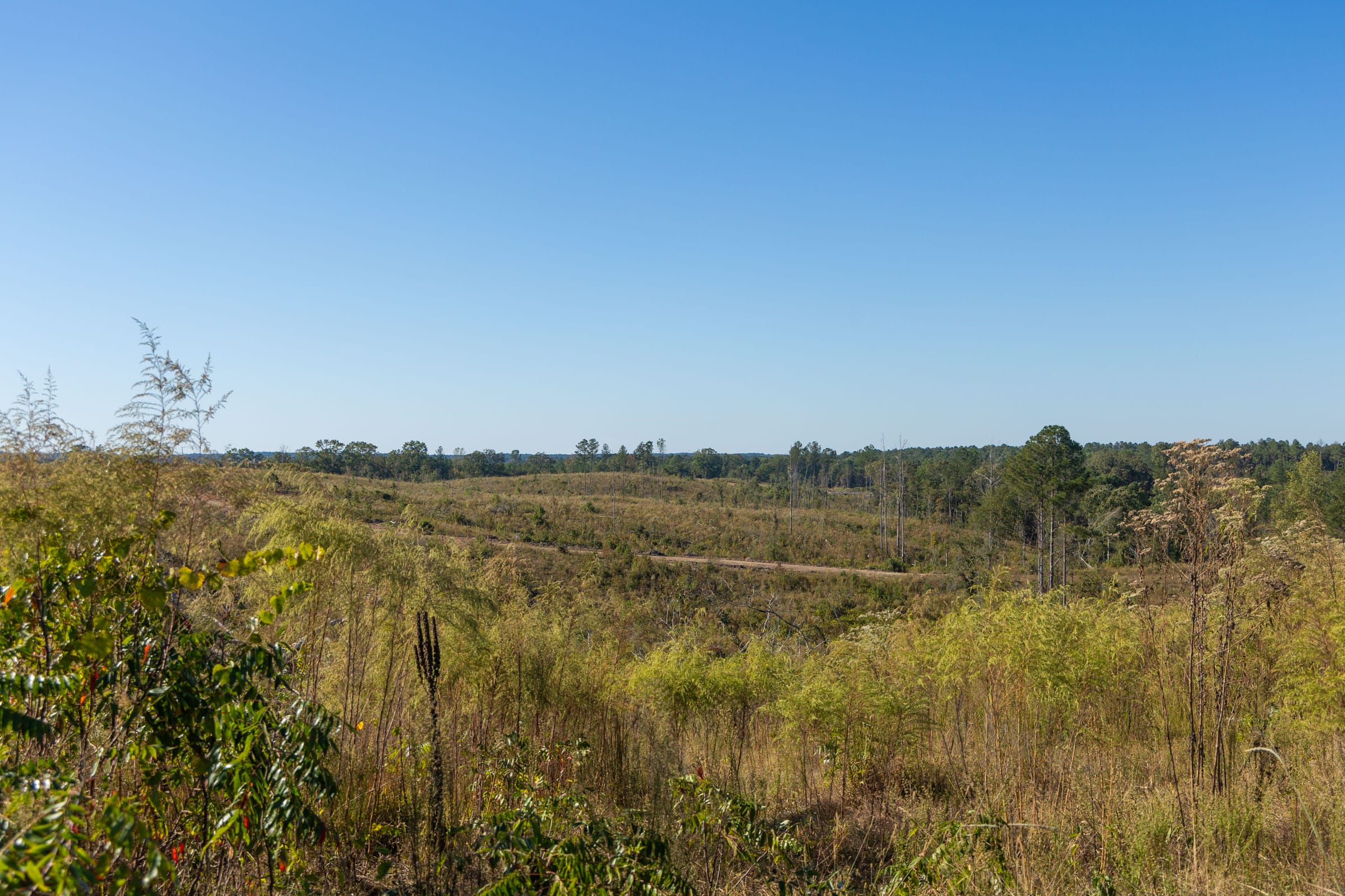 Meyer’s Ridge Tract 21 photo 10