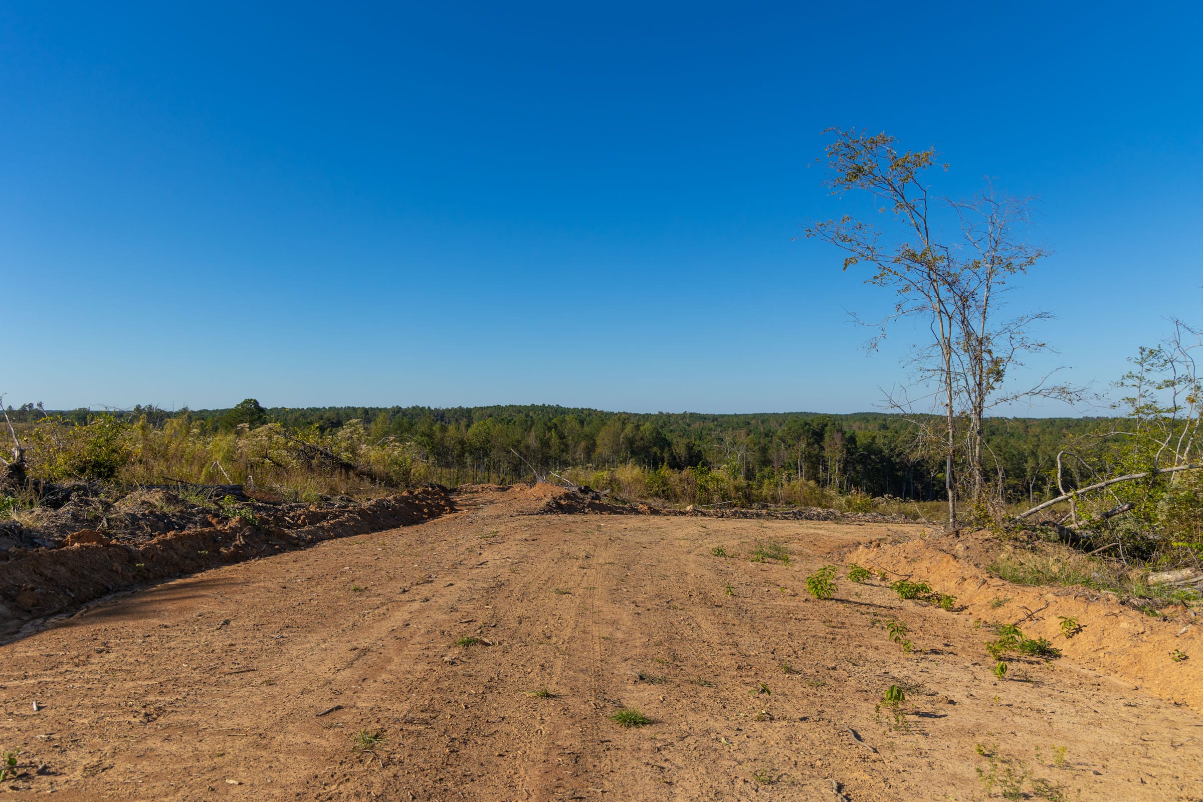 Meyer’s Ridge Tract 21 photo 8