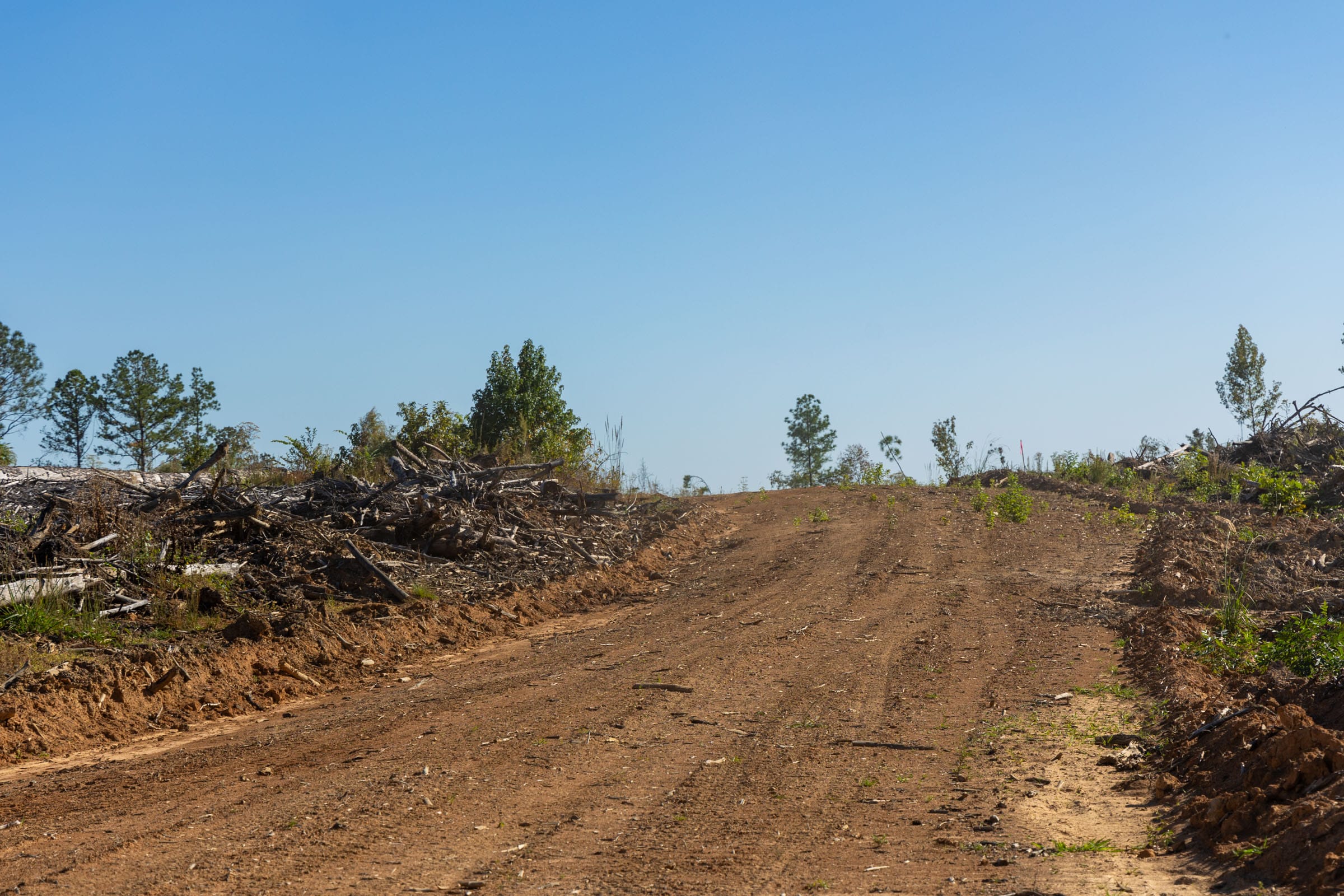 Meyer’s Ridge Tract 21 photo 12