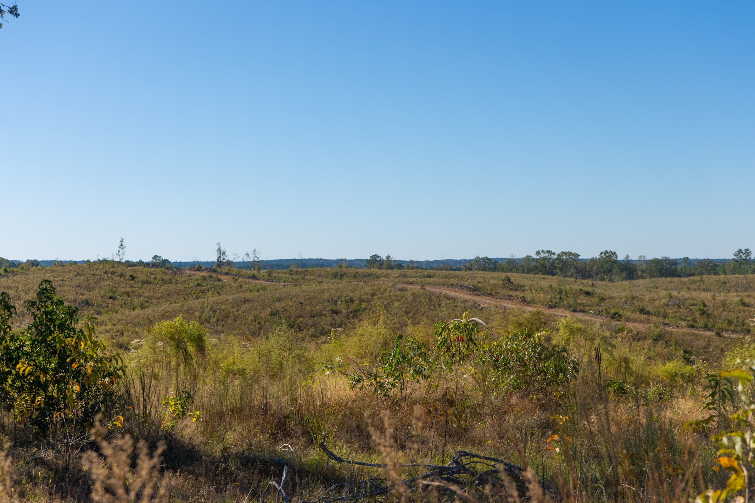 Meyer’s Ridge Tract 21 photo 9