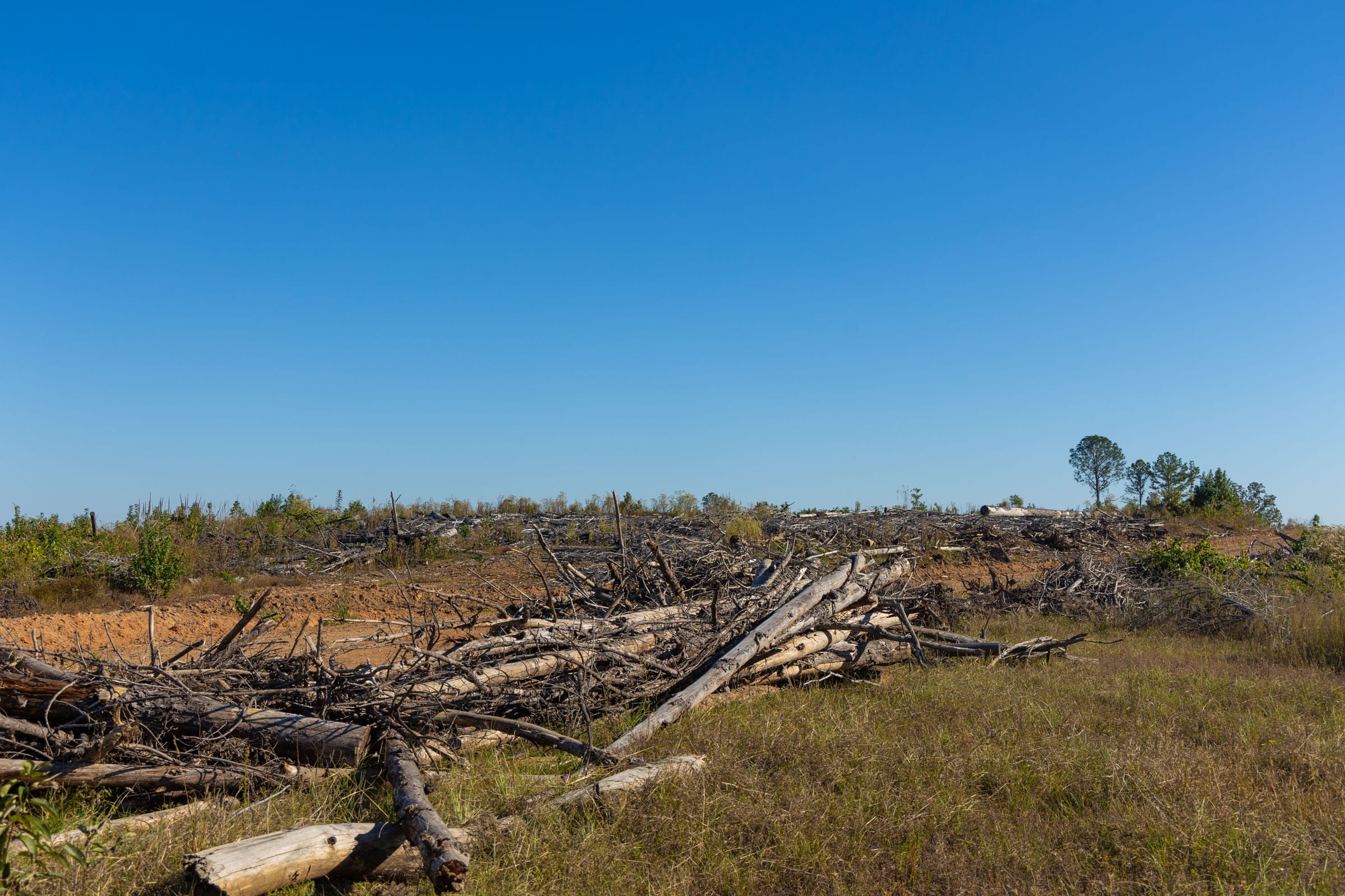 Meyer’s Ridge Tract 21 photo 7