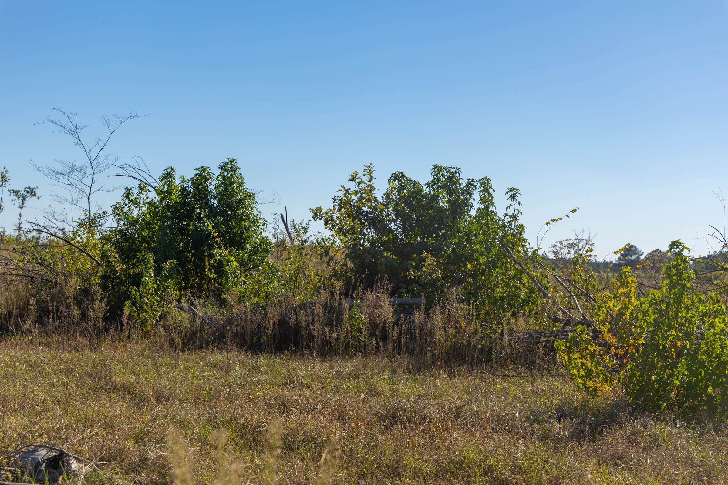 Meyer’s Ridge Tract 21 photo 5