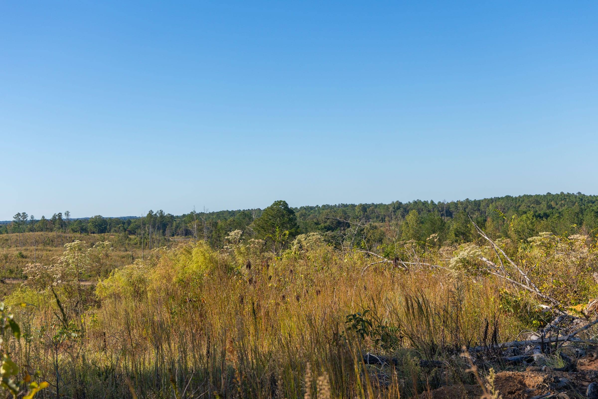 Meyer’s Ridge Tract 21 photo 4