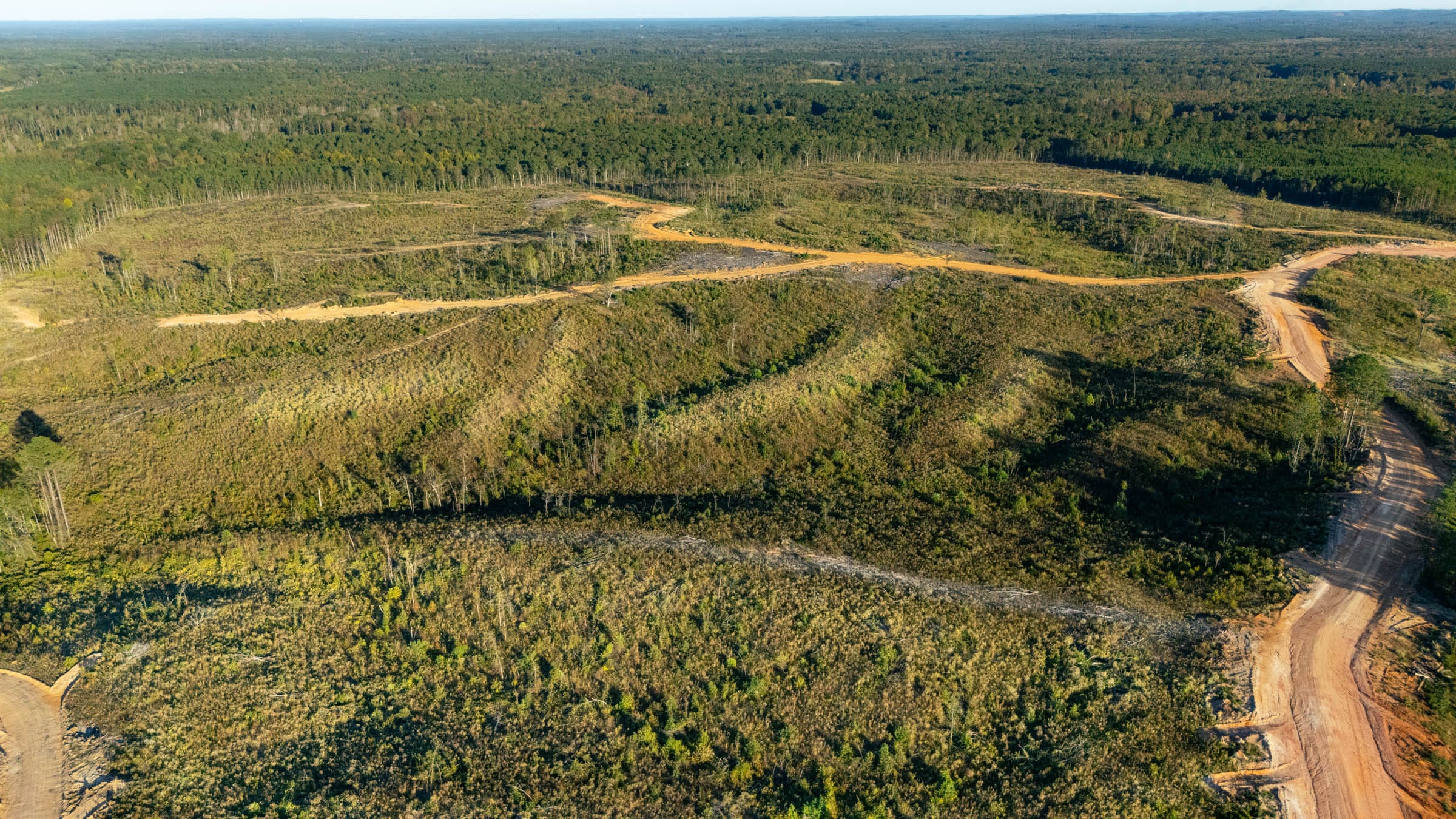 Meyer’s Ridge Tract 21 photo 6