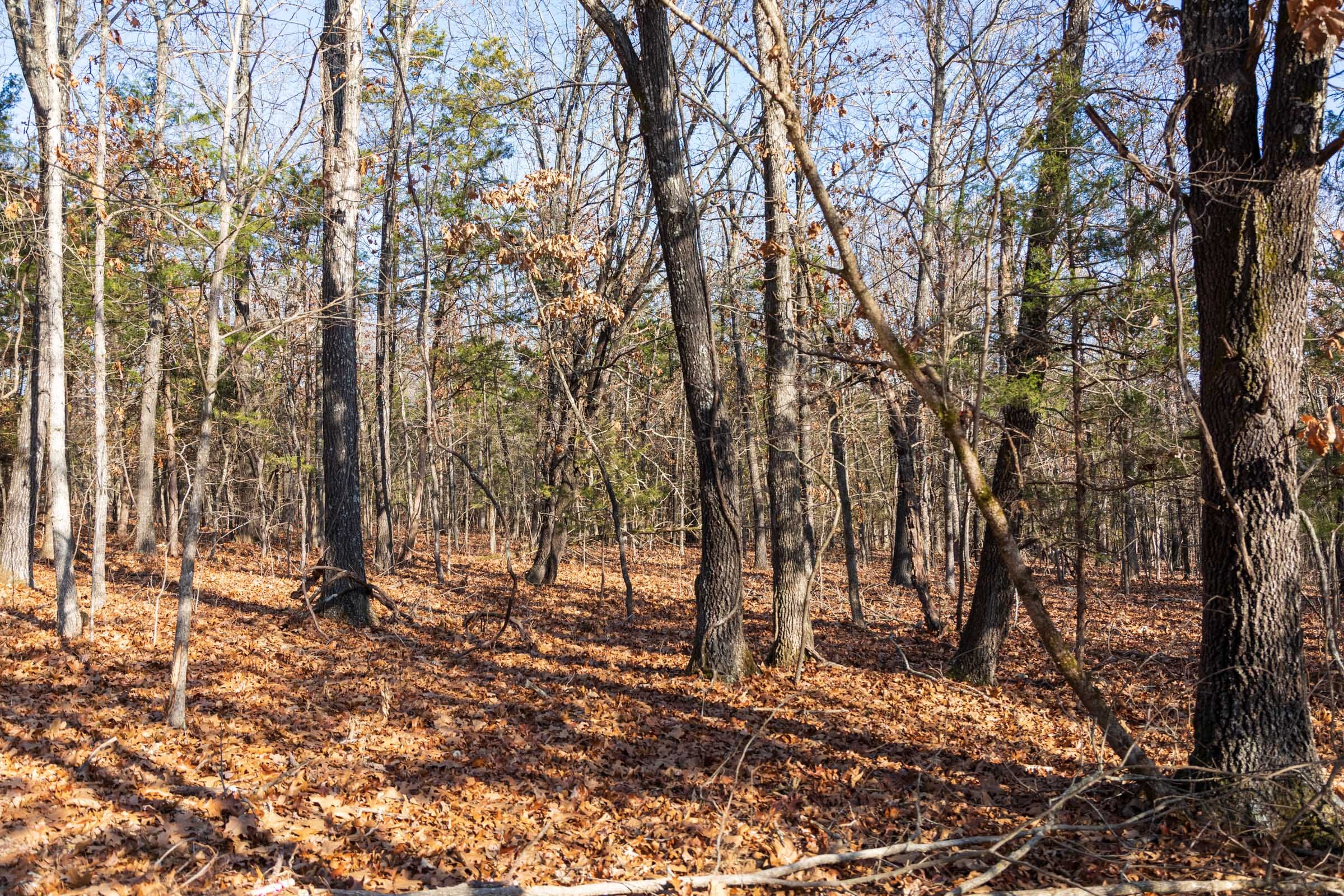 Crossroads Tract 12 photo 2