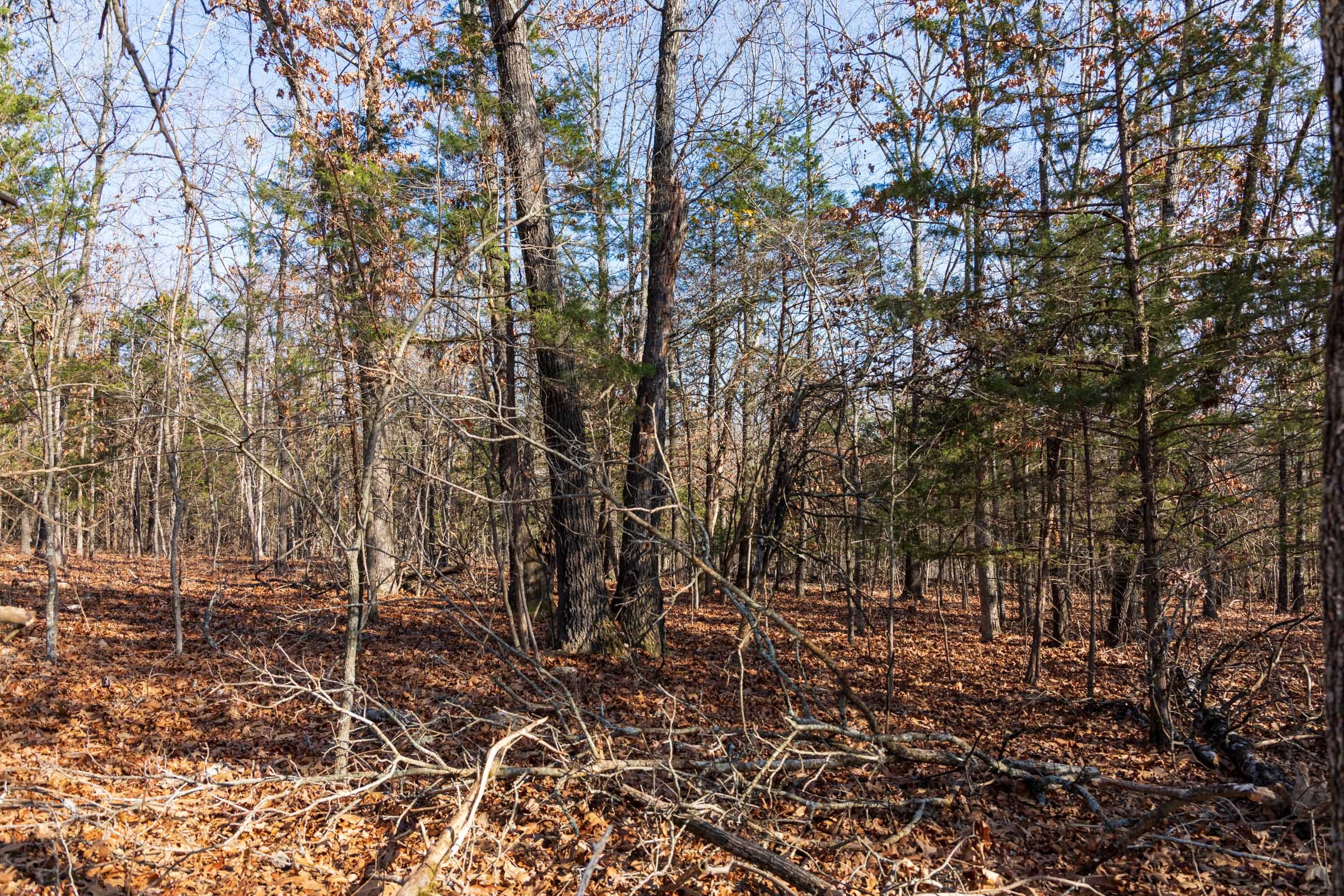 Crossroads Tract 12 photo 3