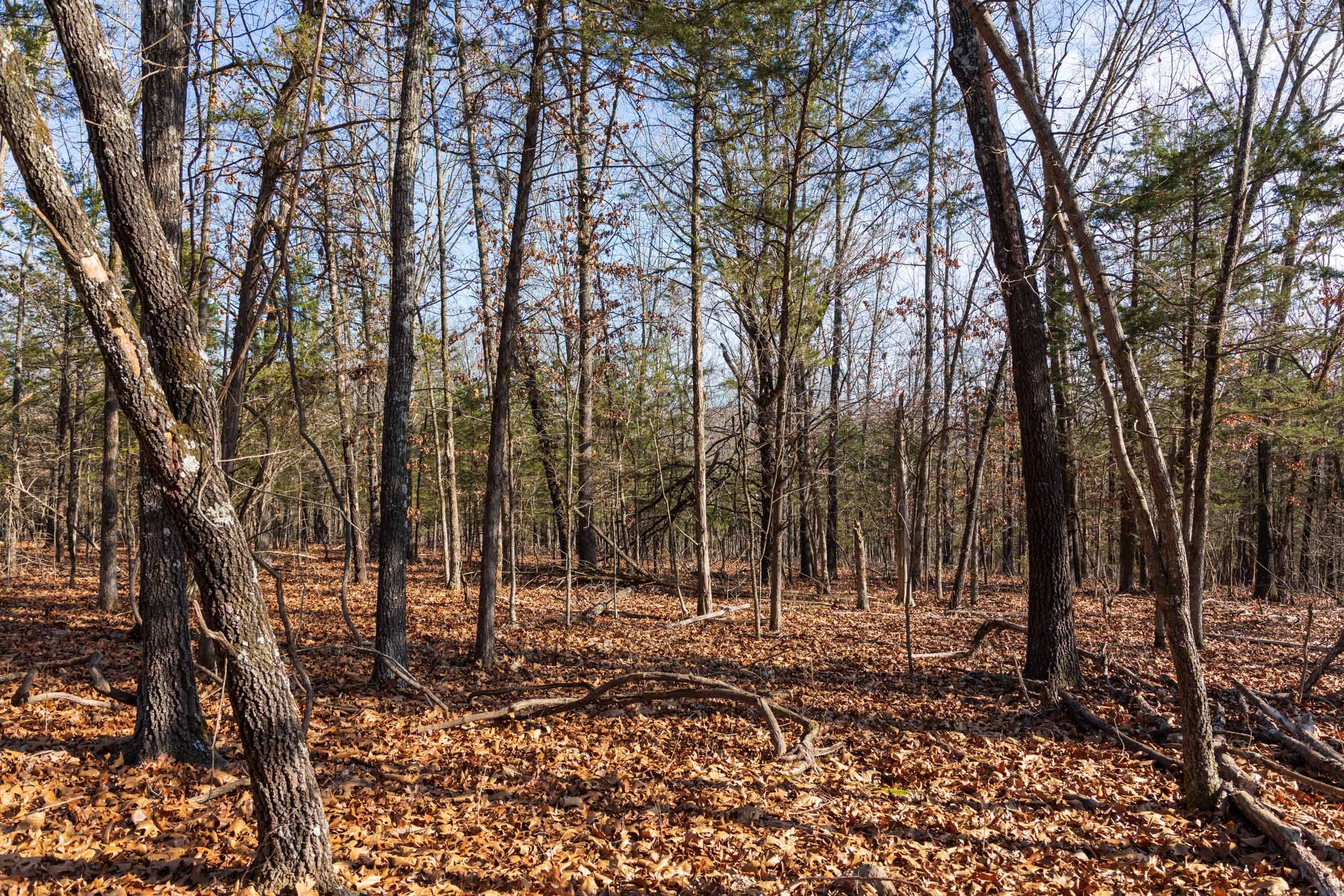 Crossroads Tract 12 photo 4
