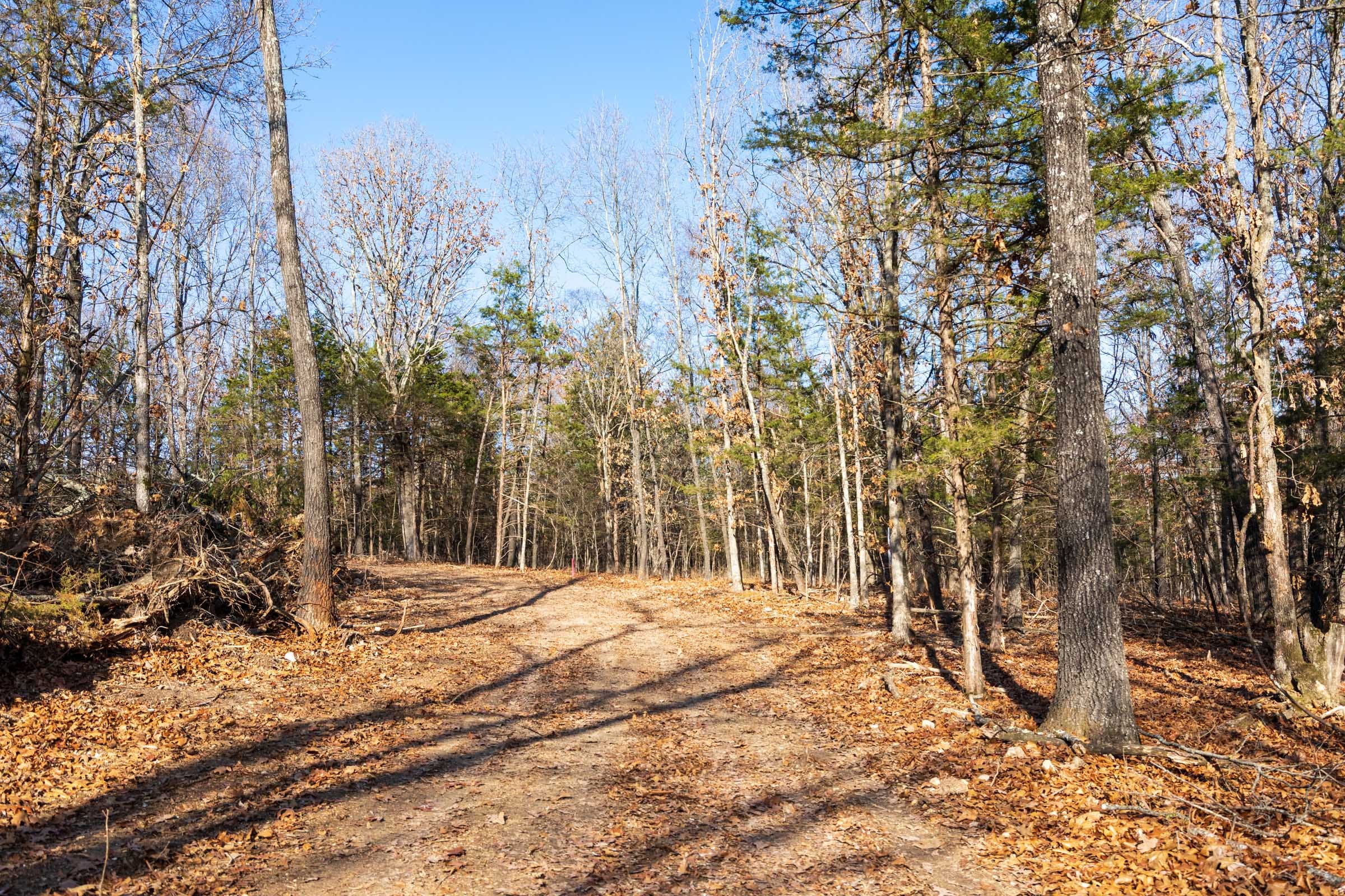 Crossroads Tract 12 photo 1