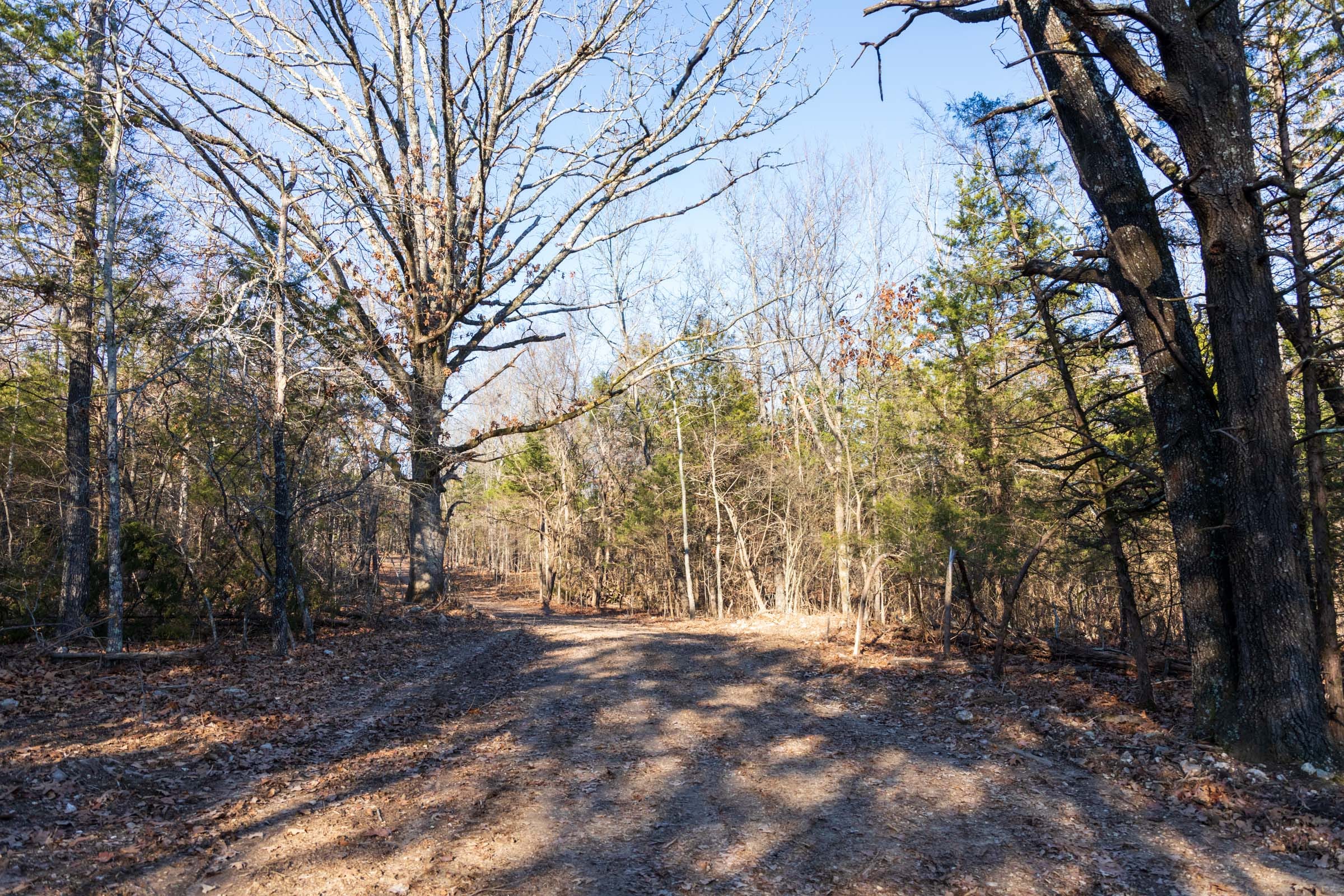 Crossroads Tract 12 photo 6