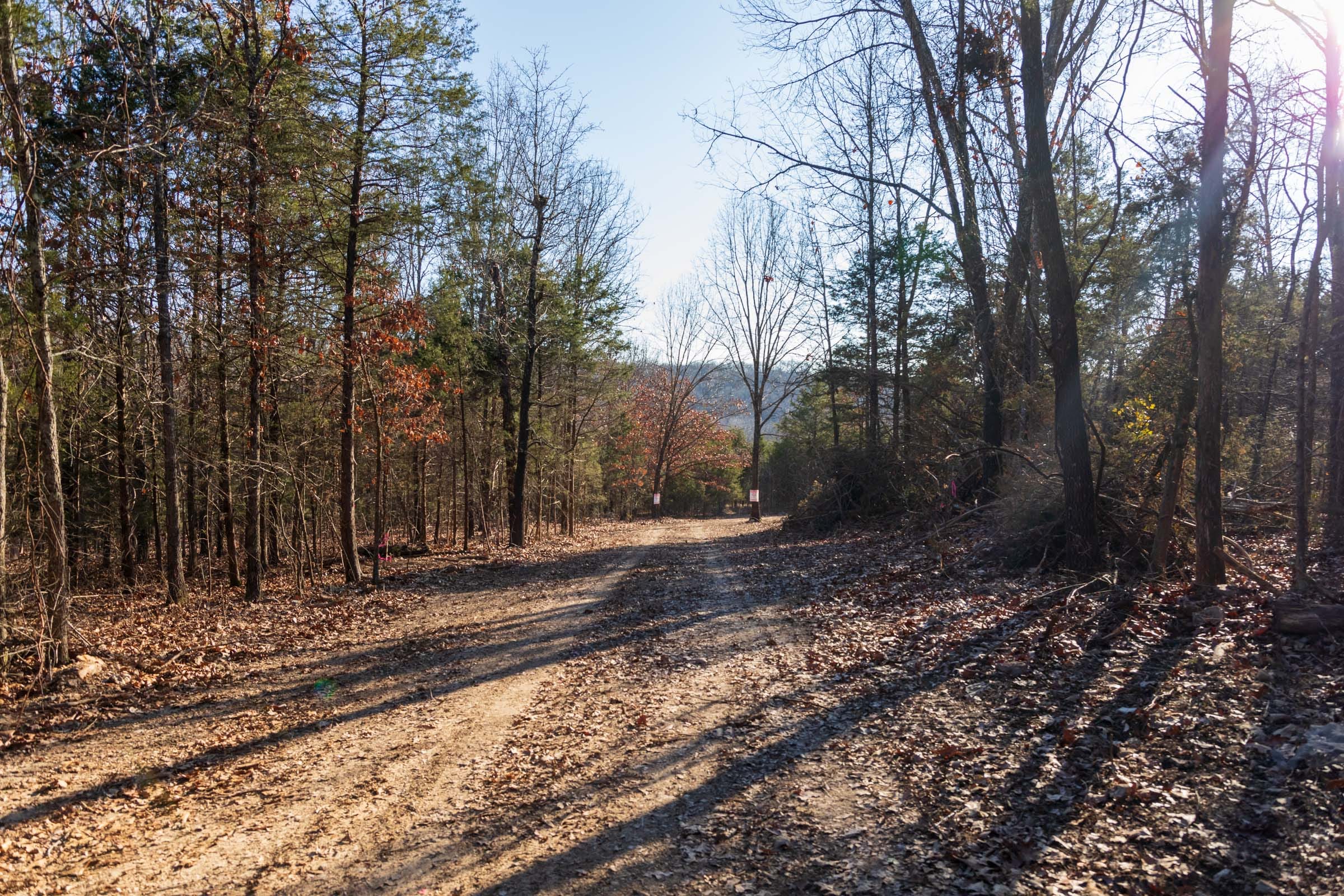 Crossroads Tract 12 photo 8