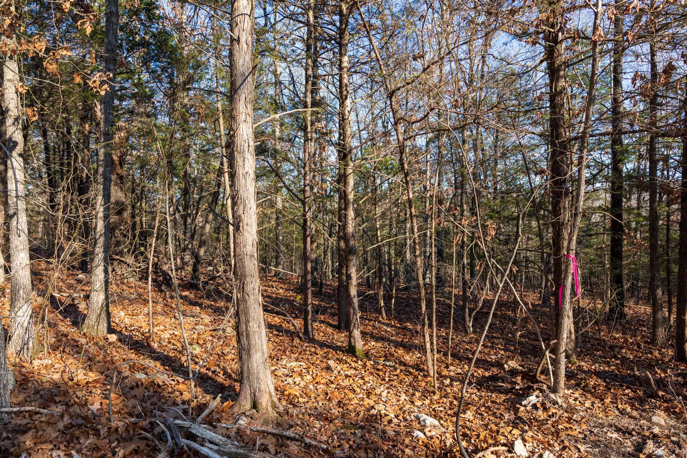 Crossroads Tract 12 photo 9