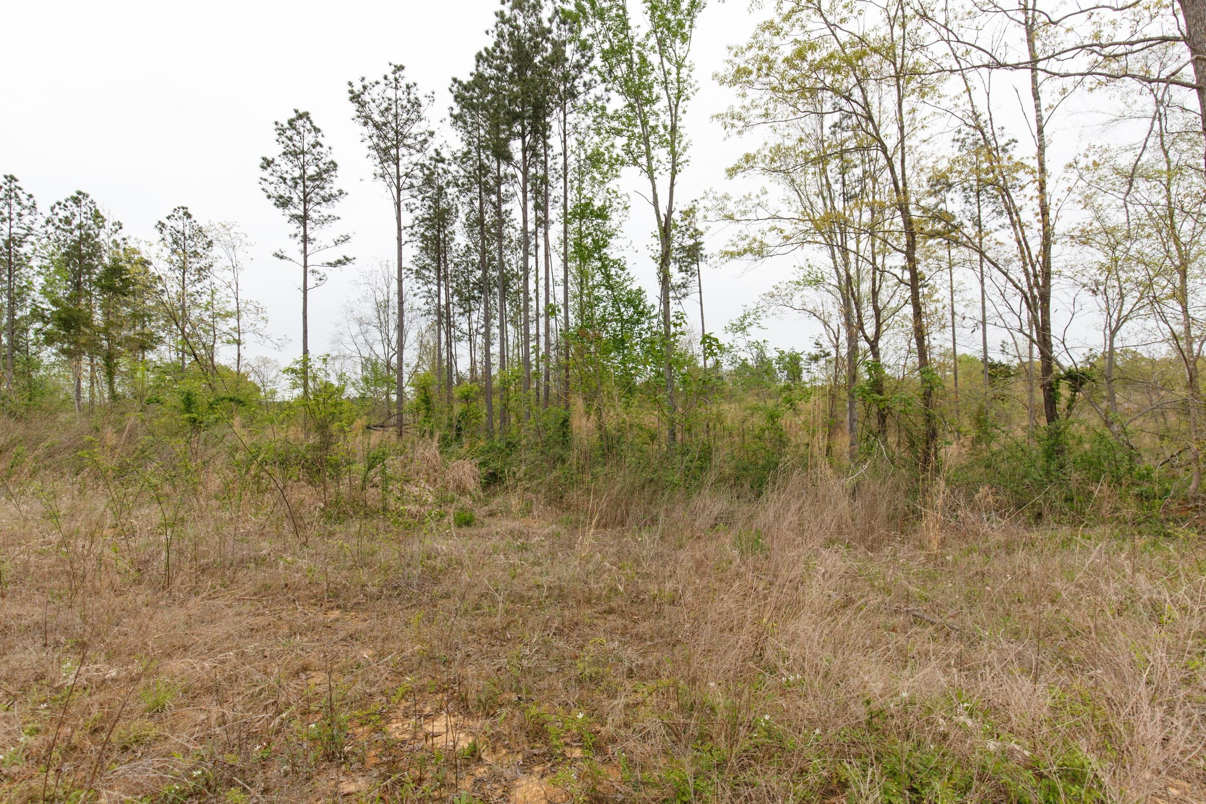 Twin Rivers Tract 27 photo 4