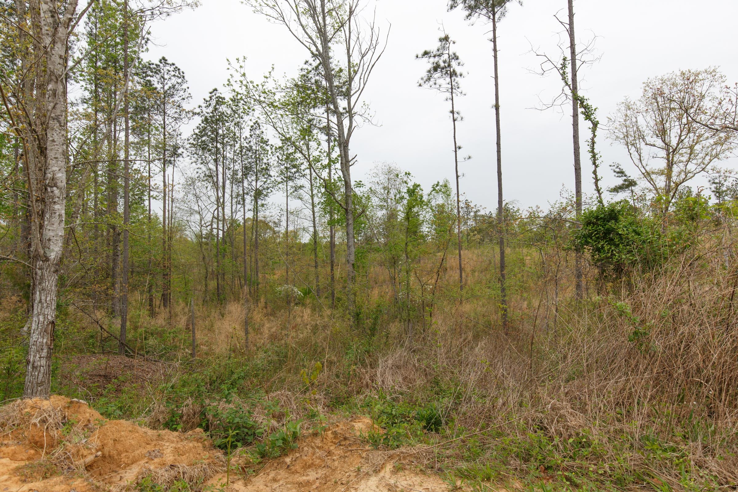 Twin Rivers Tract 27 photo 6