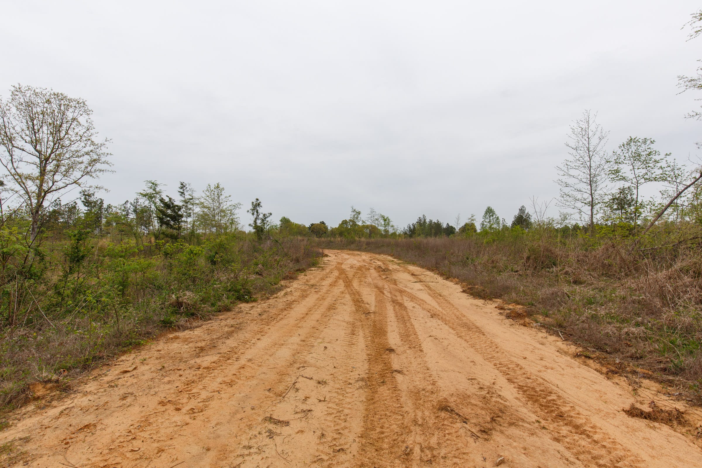 Twin Rivers Tract 27 photo 3
