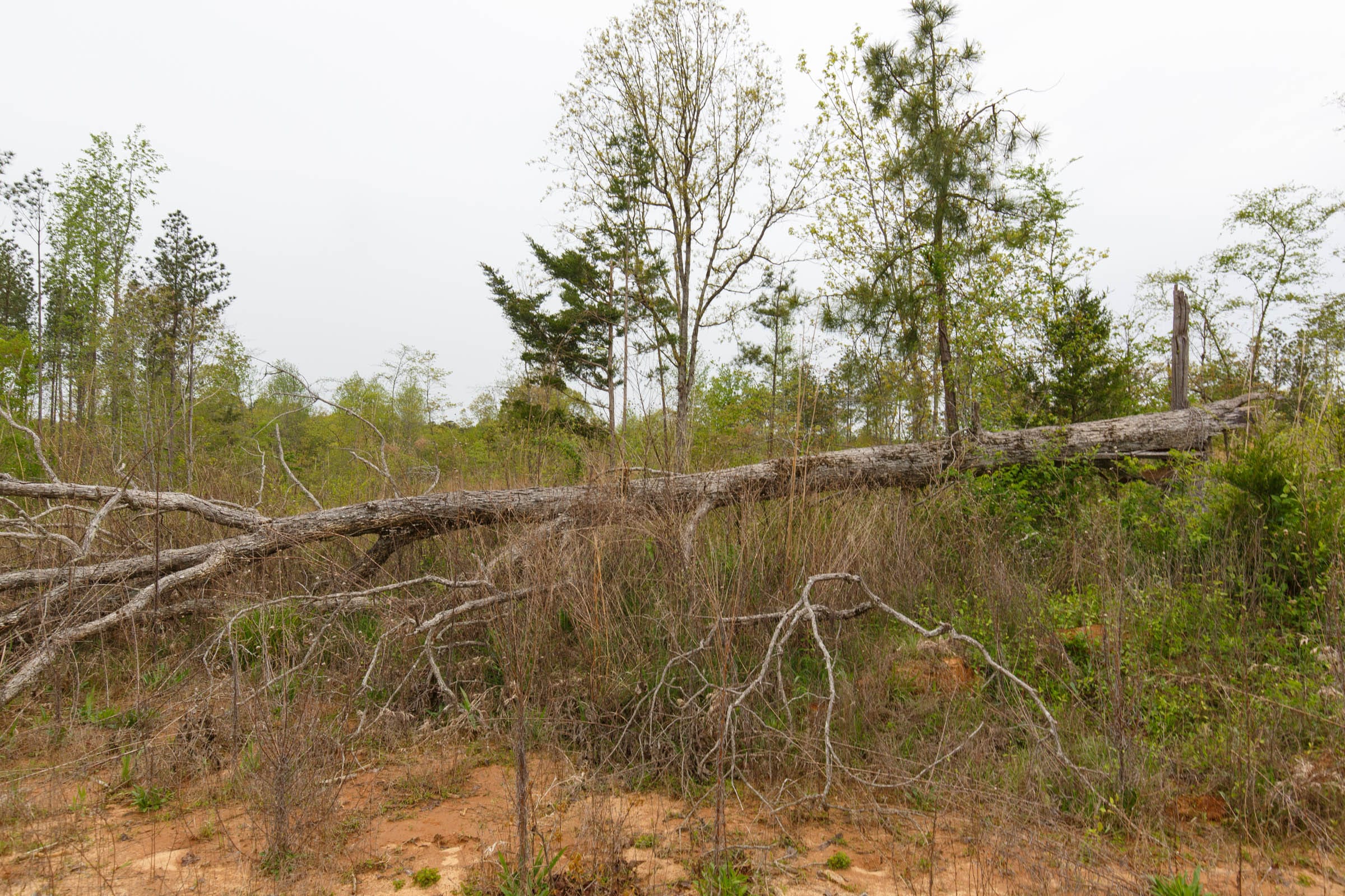 Twin Rivers Tract 27 photo 5