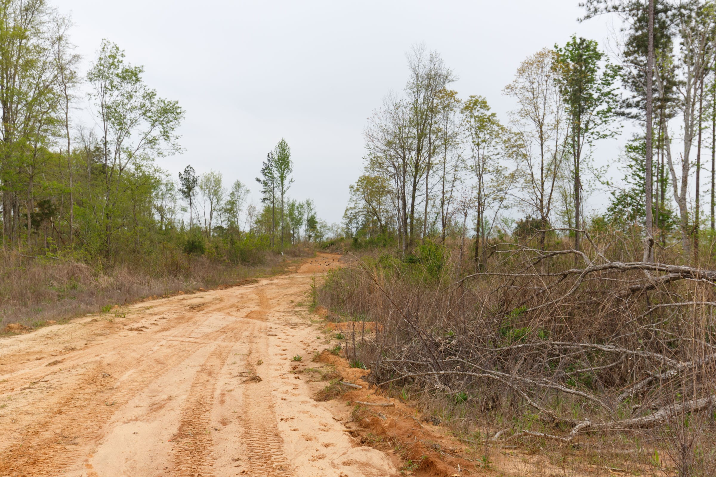 Twin Rivers Tract 27 photo 9