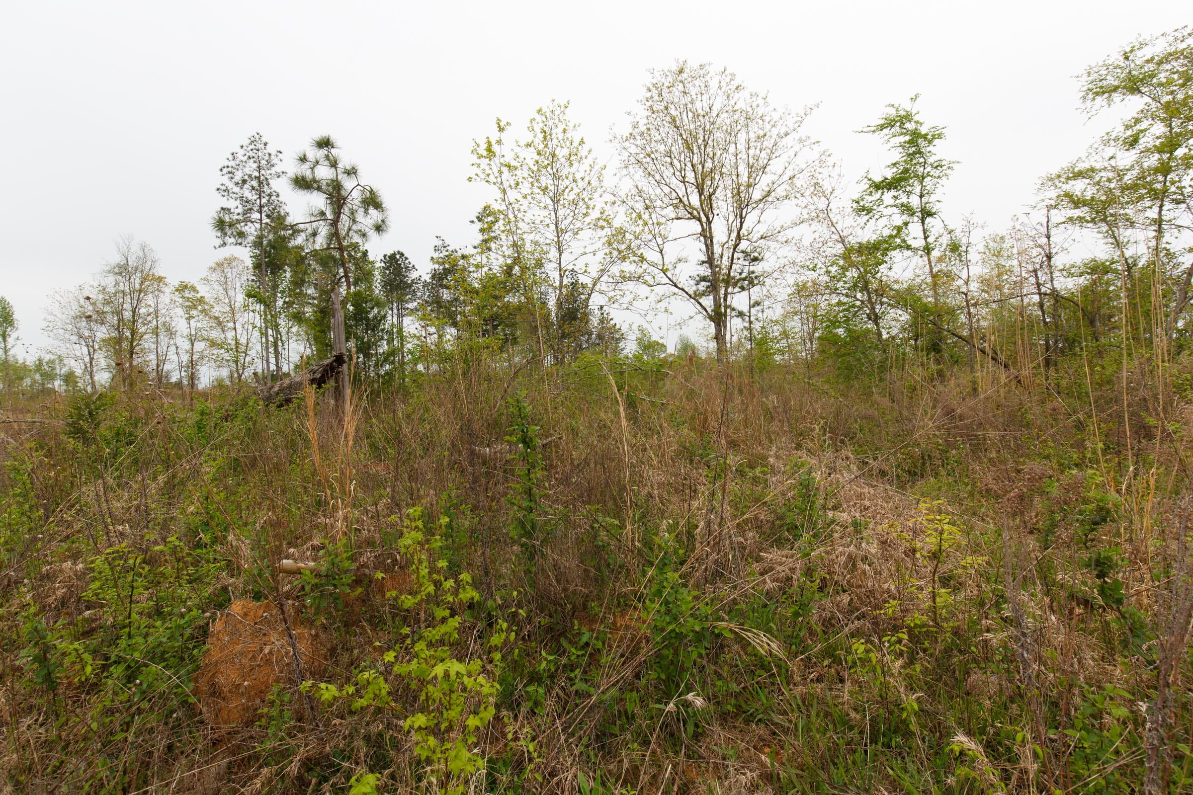 Twin Rivers Tract 27 photo 8