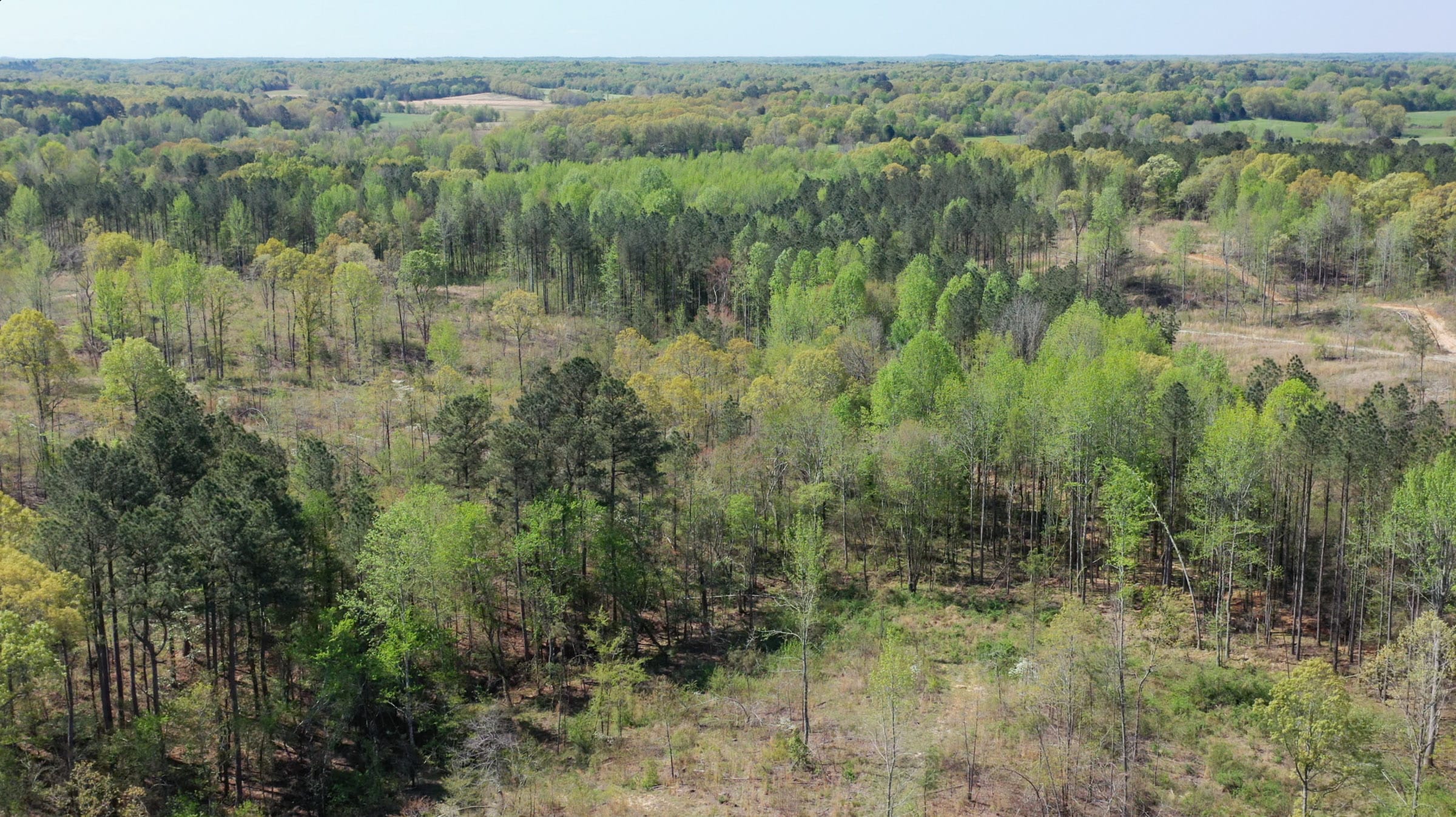 Twin Rivers Tract 27 photo 7