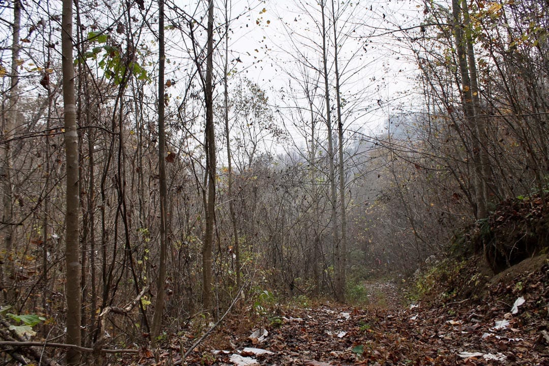 Autumn Ridge Tract 11 photo 1