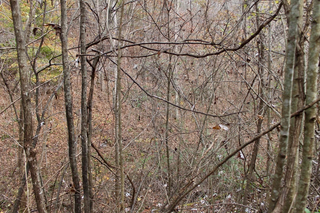 Autumn Ridge Tract 11 photo 2