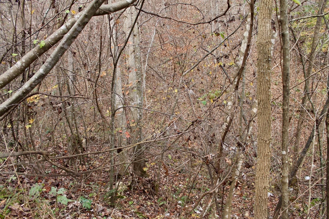 Autumn Ridge Tract 11 photo 3