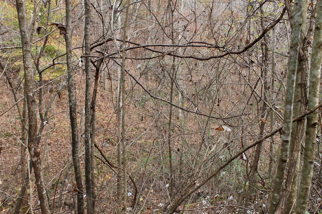 Autumn Ridge Tract 11 photo 4