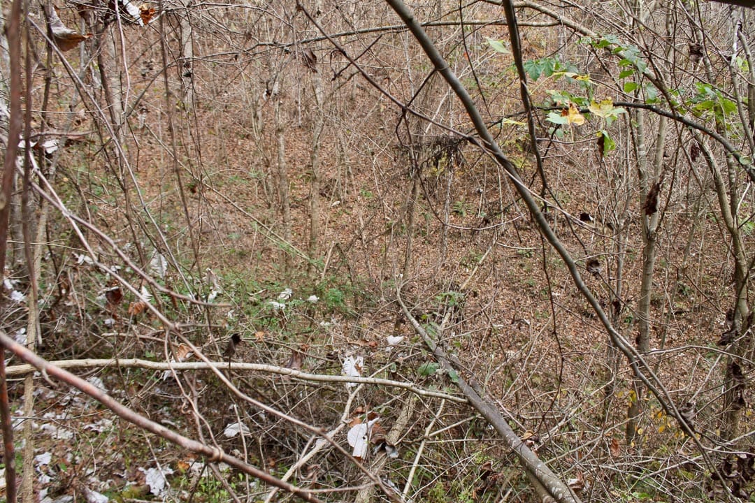 Autumn Ridge Tract 11 photo 8