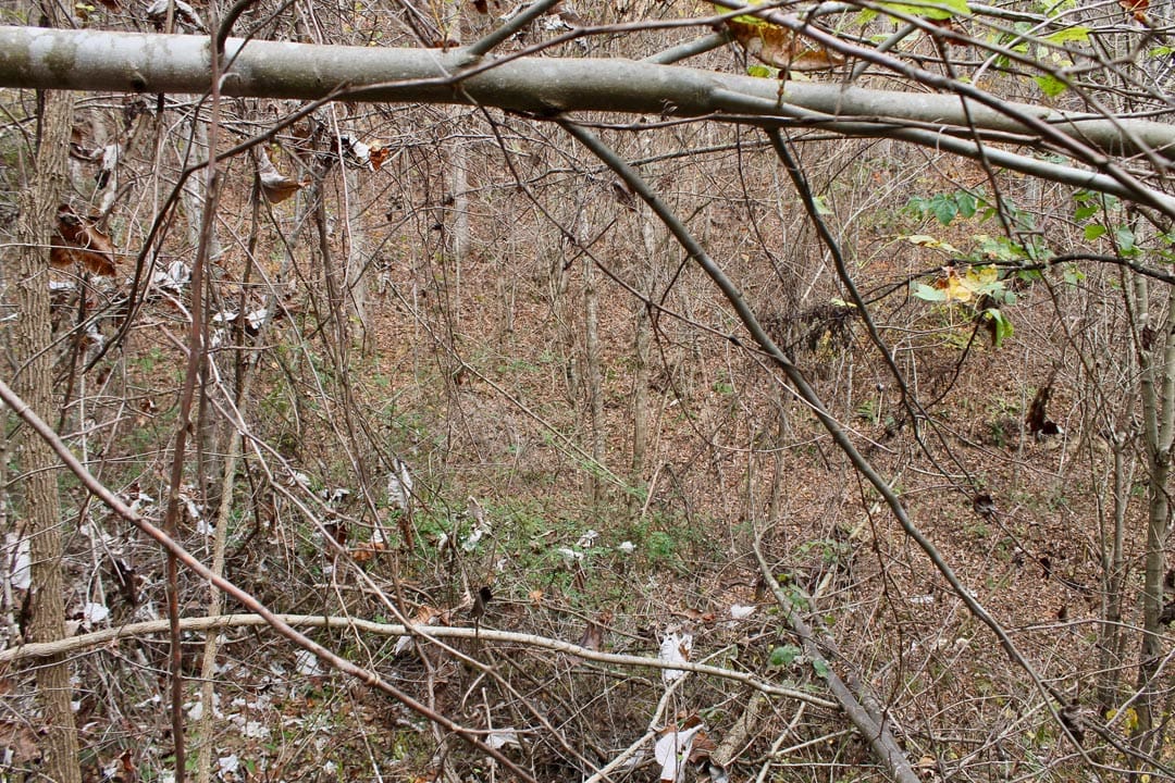 Autumn Ridge Tract 11 photo 9