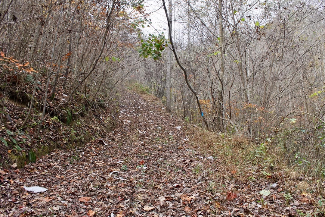 Autumn Ridge Tract 11 photo 10