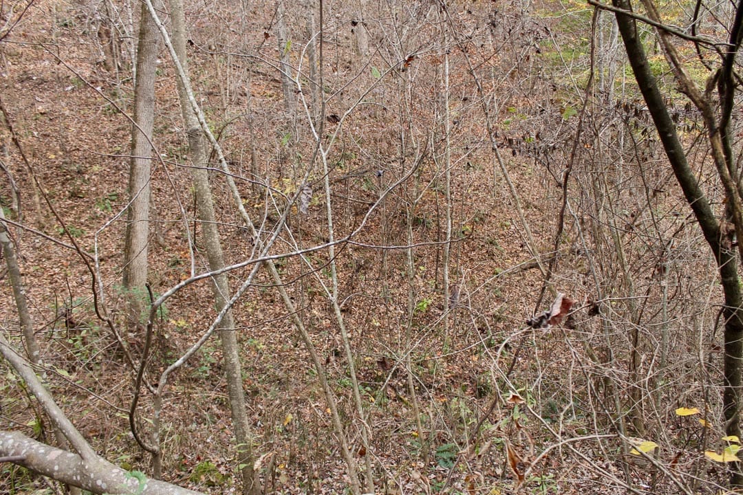 Autumn Ridge Tract 11 photo 11